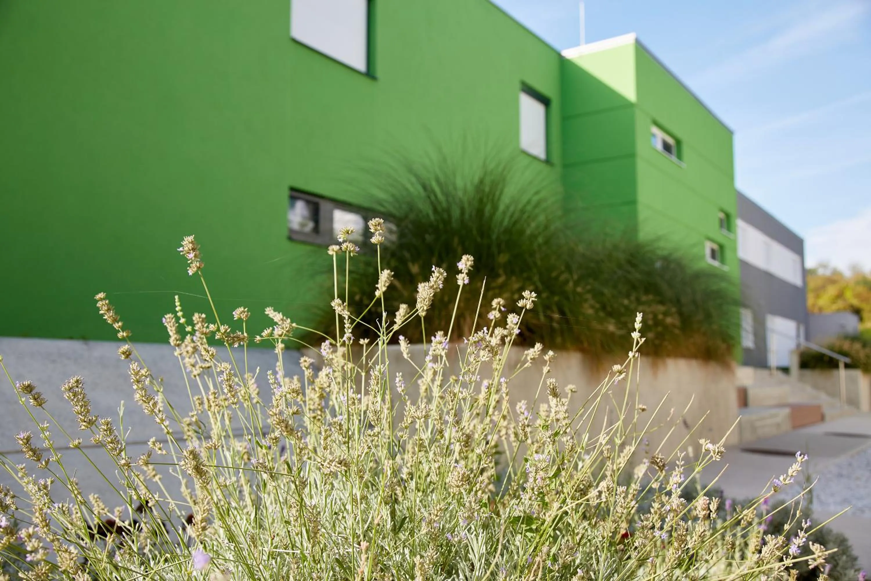 Garden in Good Rooms GmbH Guntramsdorf