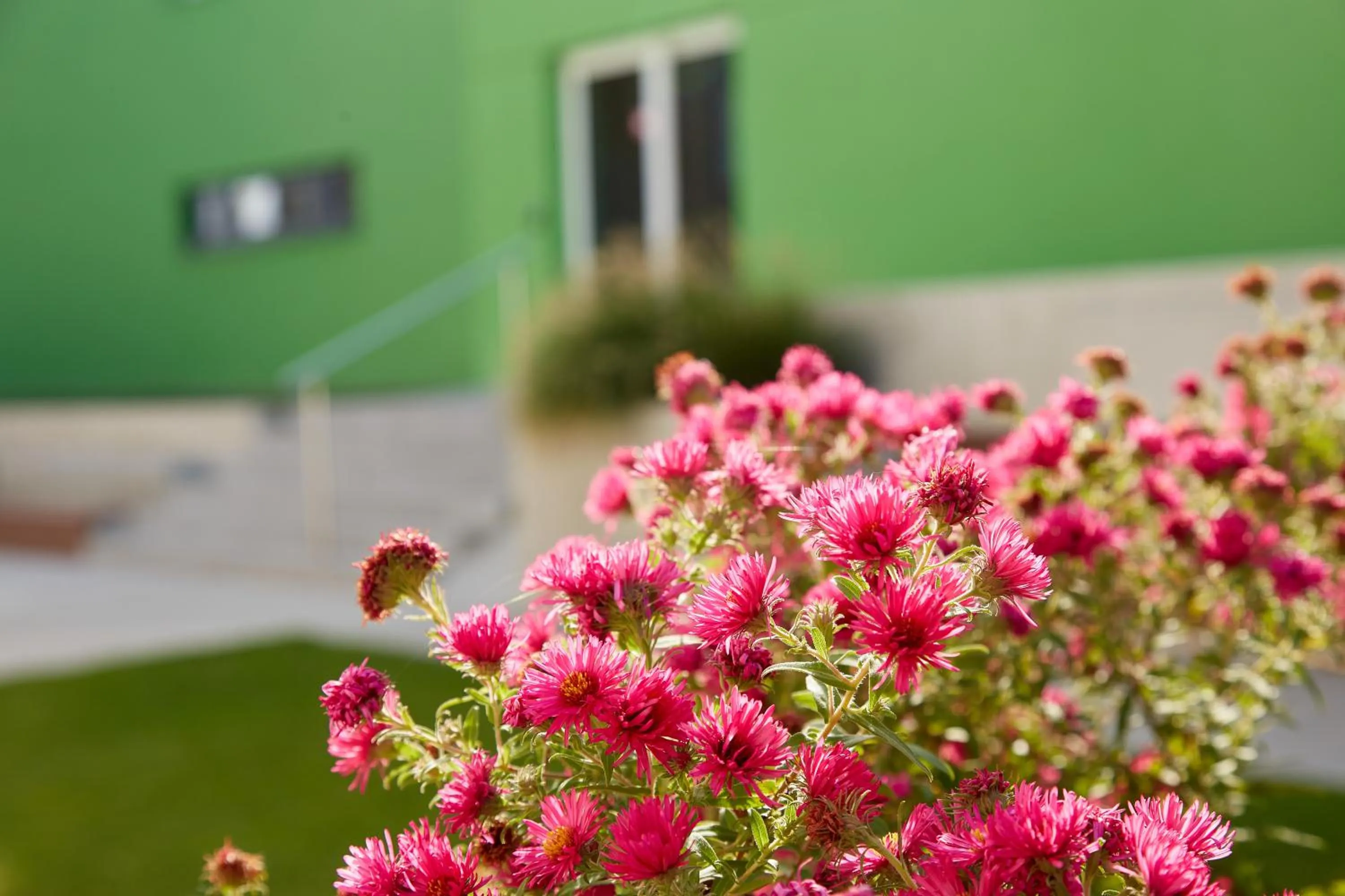 Garden in Good Rooms GmbH Guntramsdorf