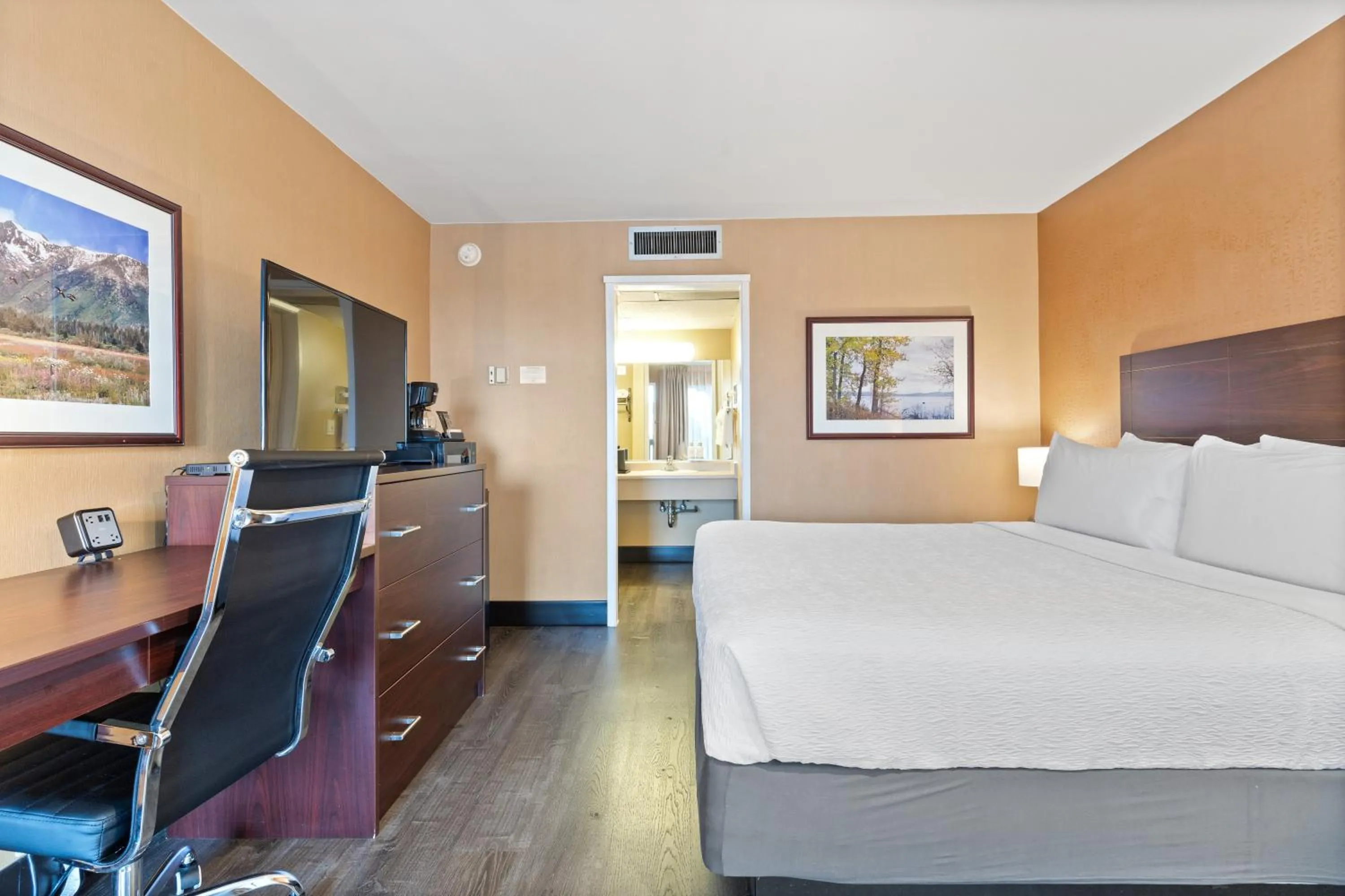 TV and multimedia in Vagabond Inn Executive SFO