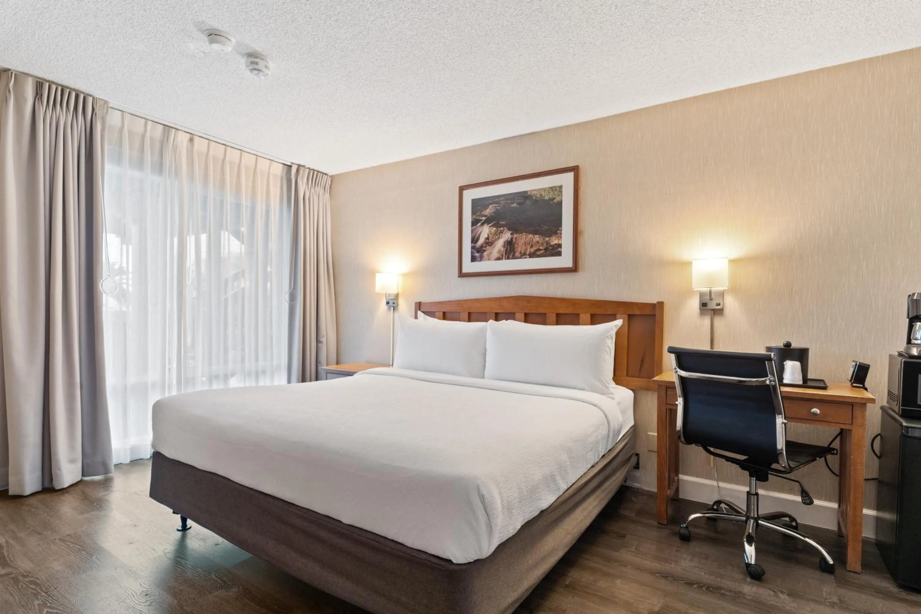 Bed in Vagabond Inn Executive SFO