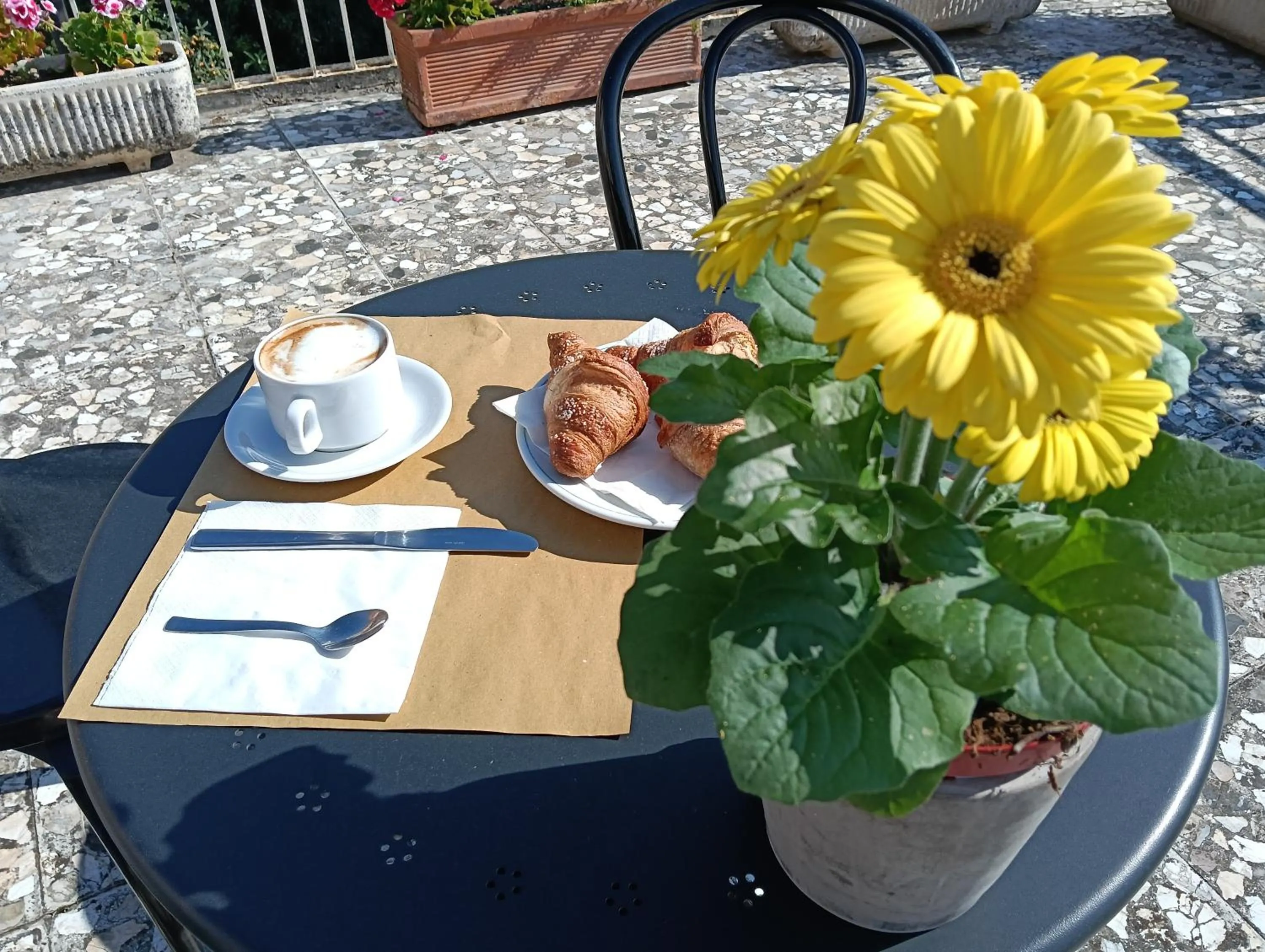 Balcony/Terrace in Hotel Robinia