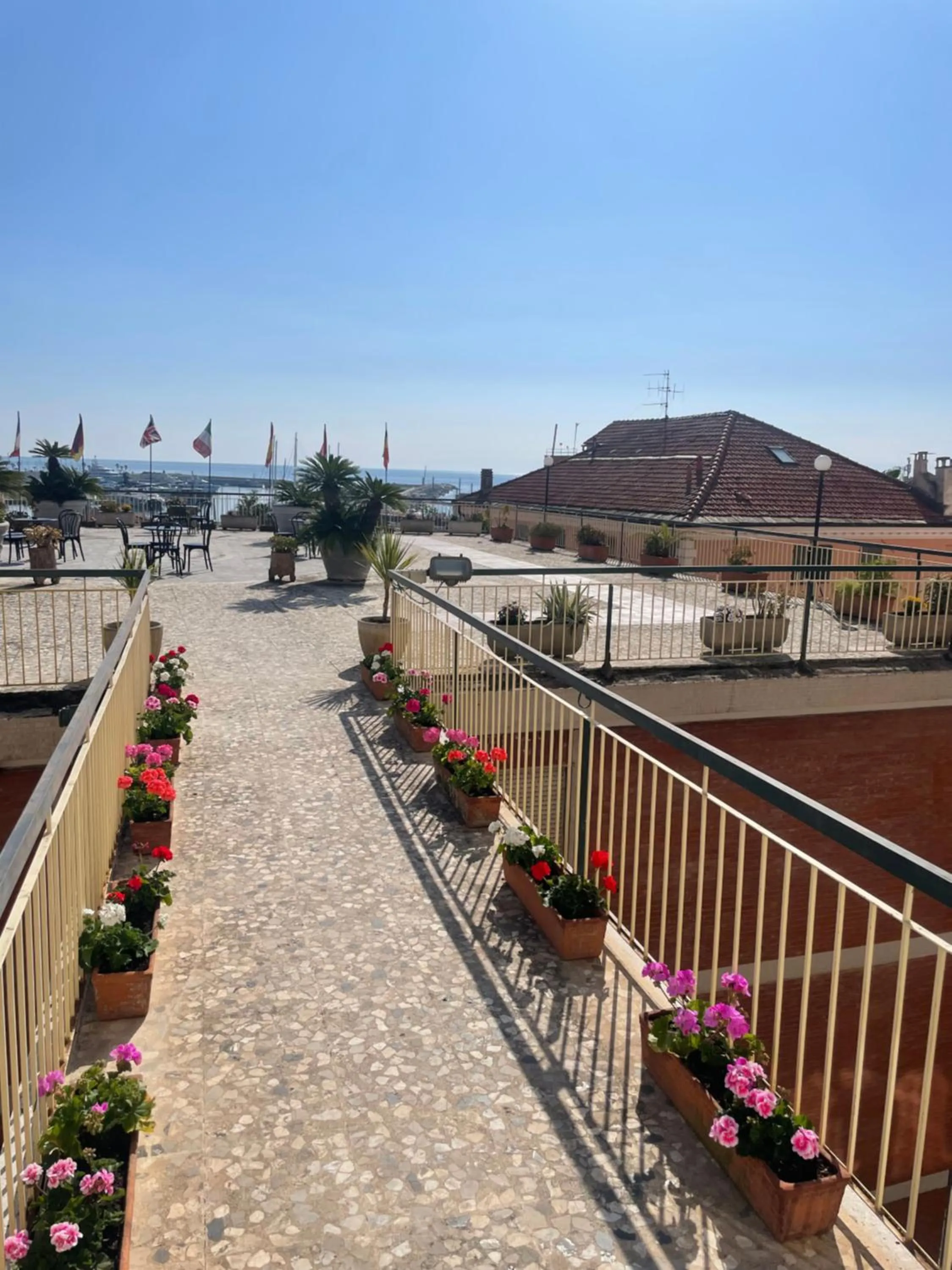 Balcony/Terrace in Hotel Robinia