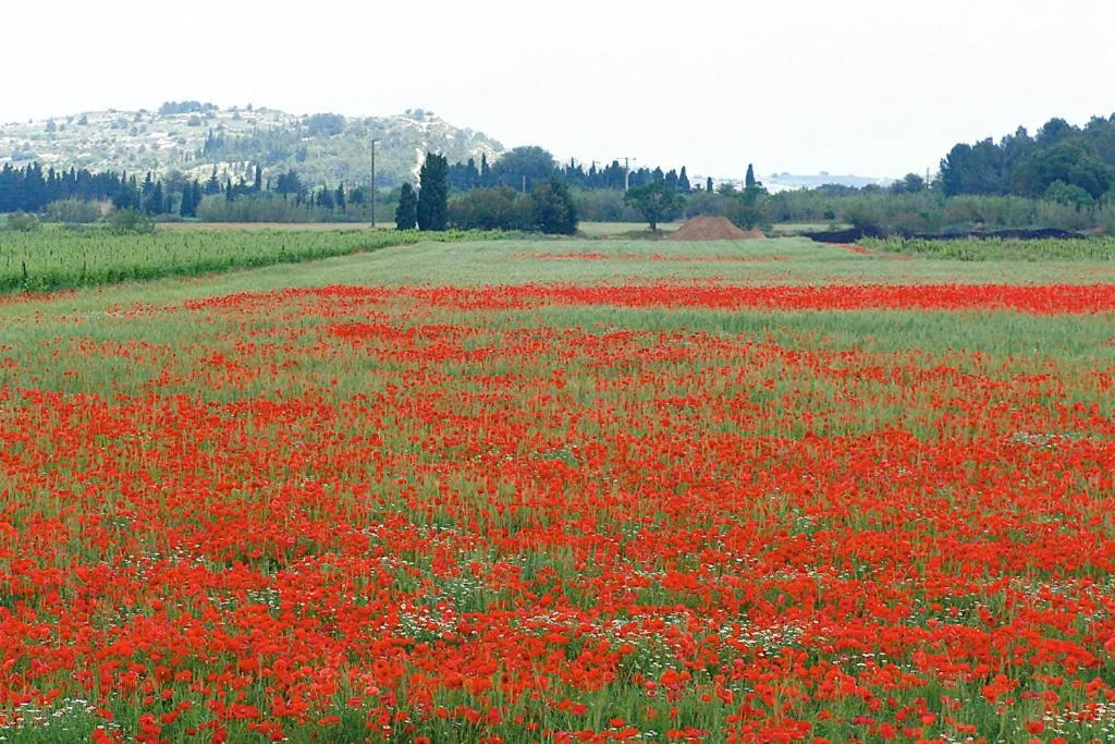 Bird's eye view in Hôtel Spa Les Alpes