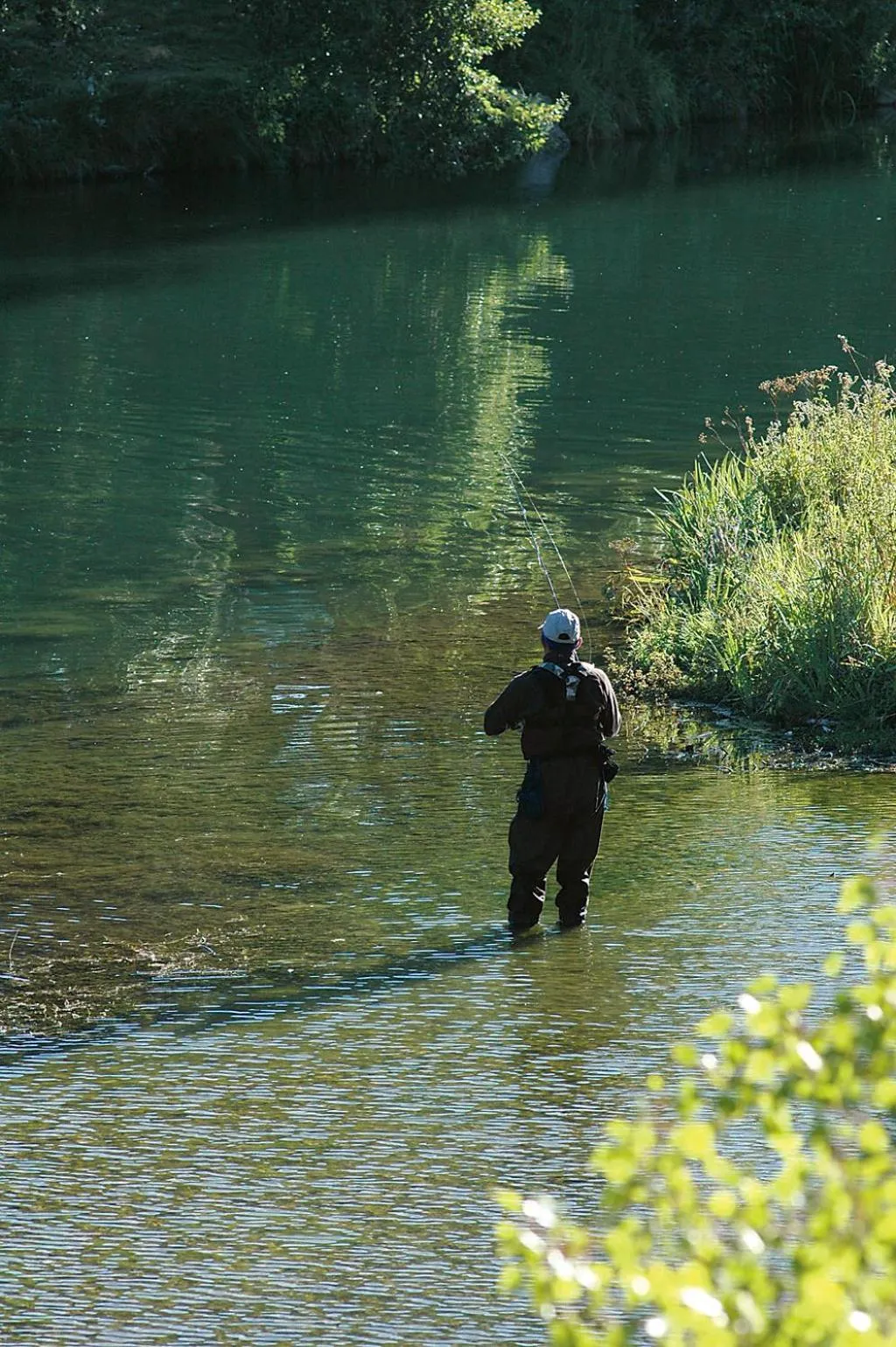 Area and facilities in Hôtel Spa Les Alpes