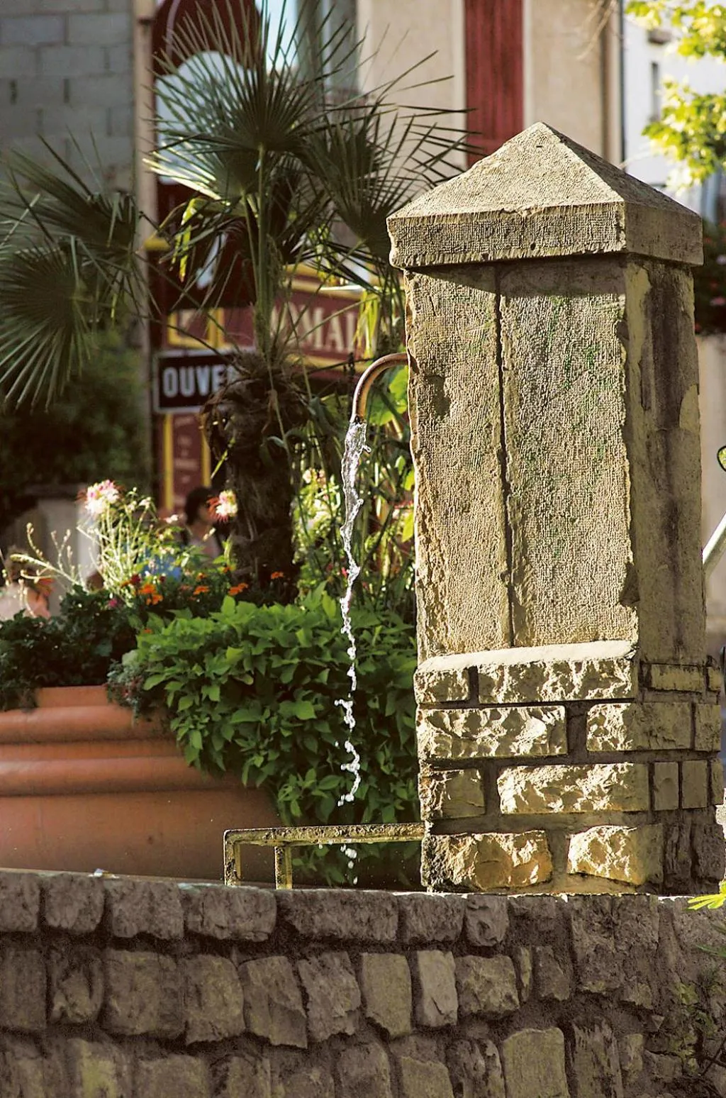 Area and facilities in Hôtel Spa Les Alpes