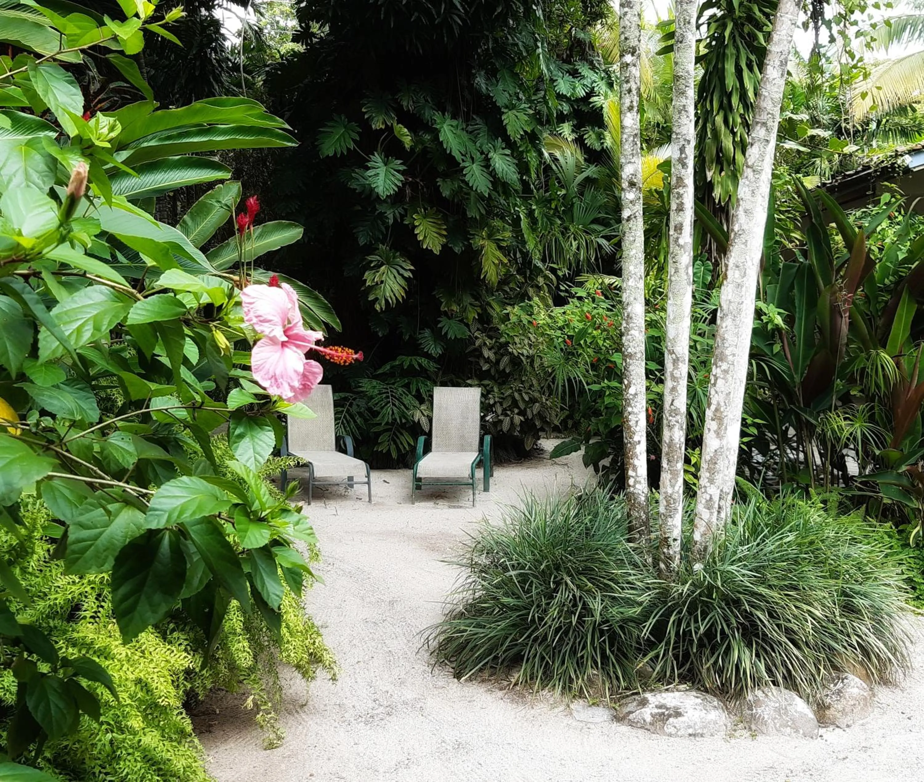 Garden in Togo B&B Farallon