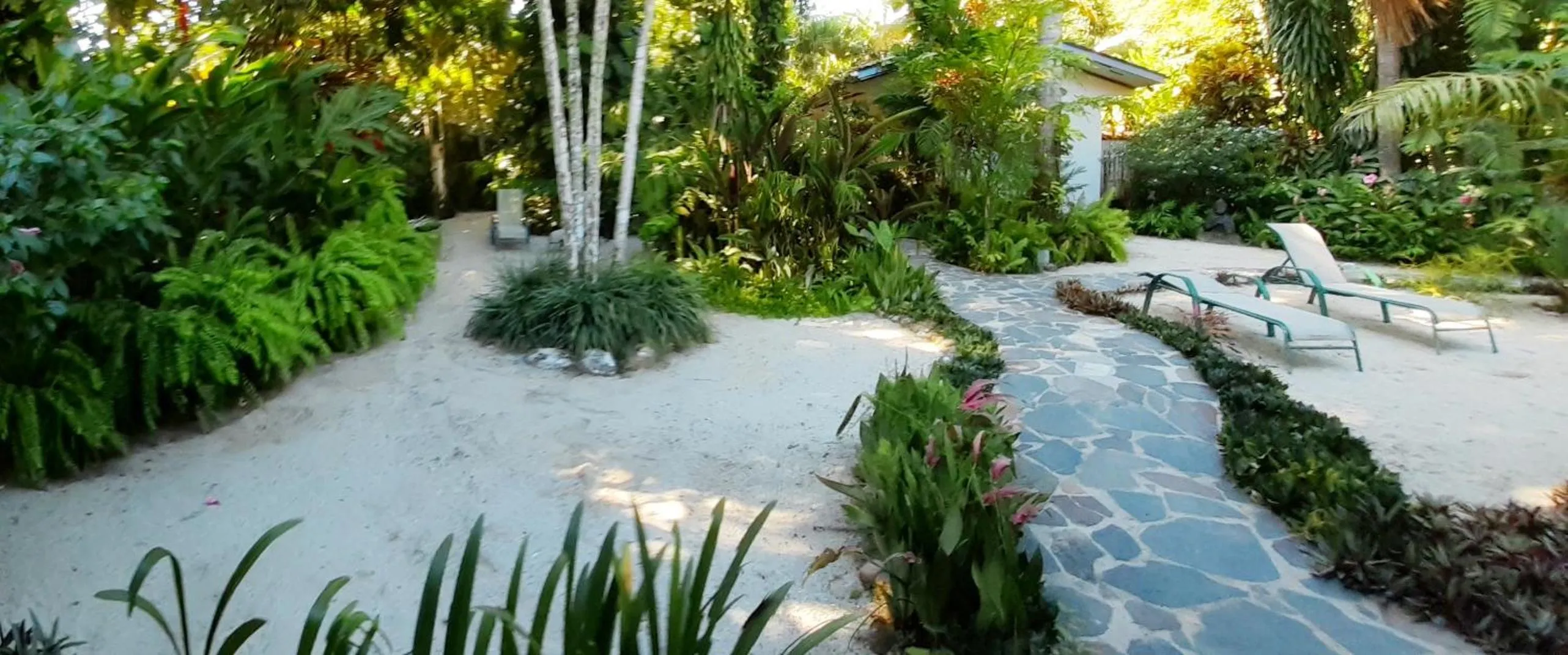 Garden in Togo B&B Farallon