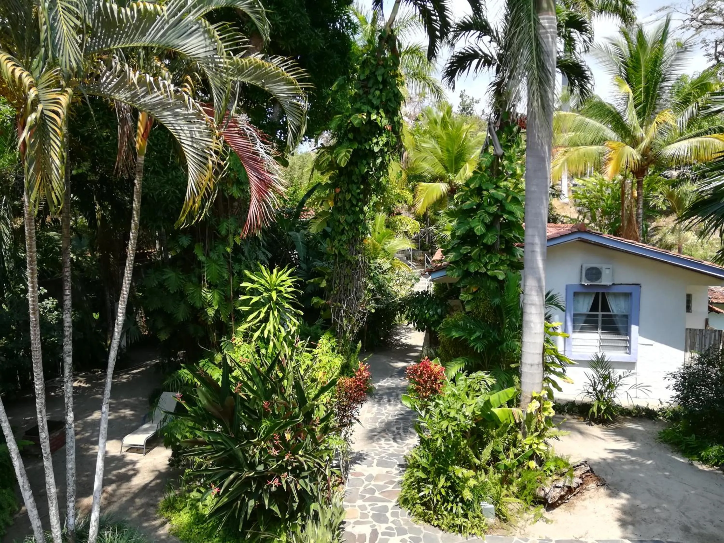 Garden view in Togo B&B Farallon