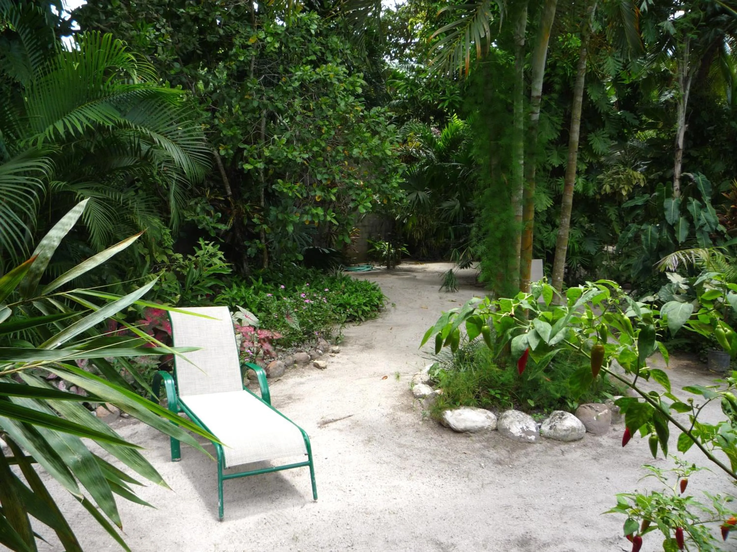 Natural landscape in Togo B&B Farallon