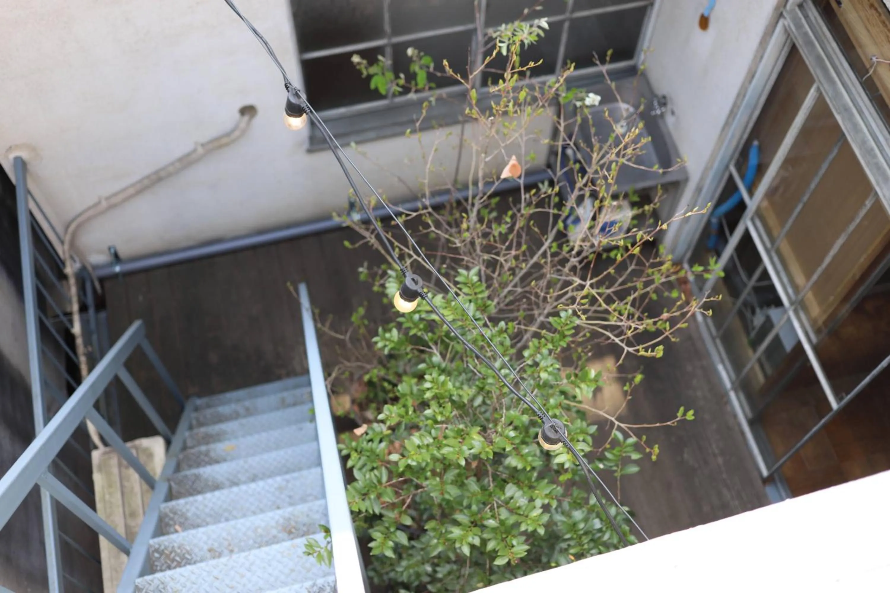 Garden in nirasakiyaSTAY