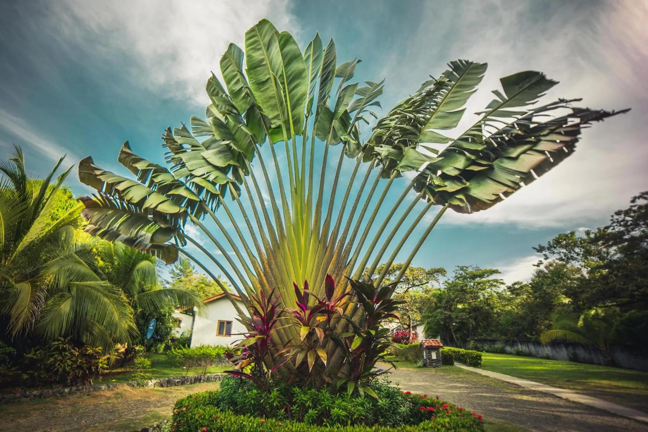 Restaurant/places to eat in Hotel Santa Catalina Panamá