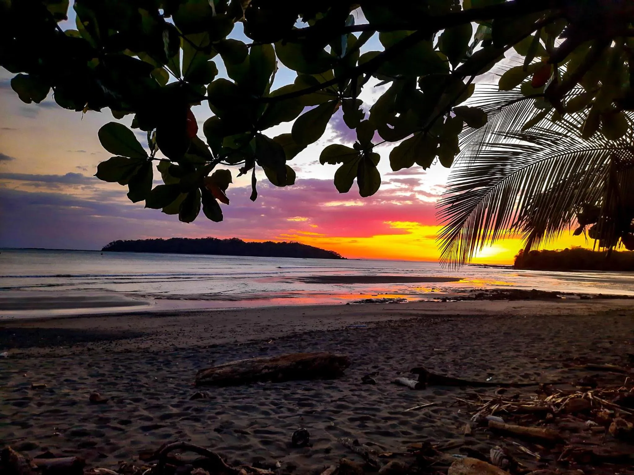 Natural landscape in Hotel Santa Catalina Panamá