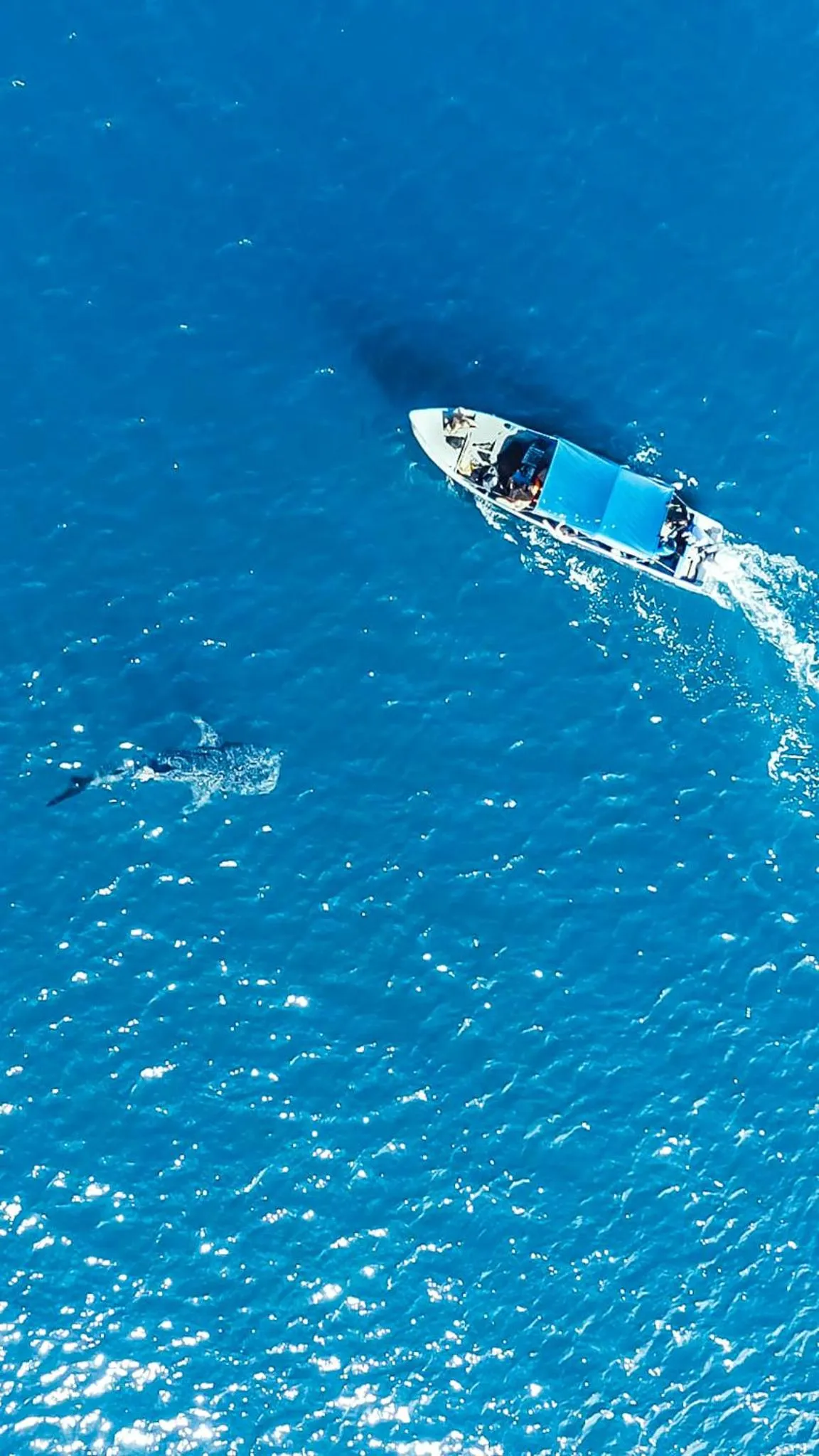 Bird's eye view in Hotel Santa Catalina Panamá