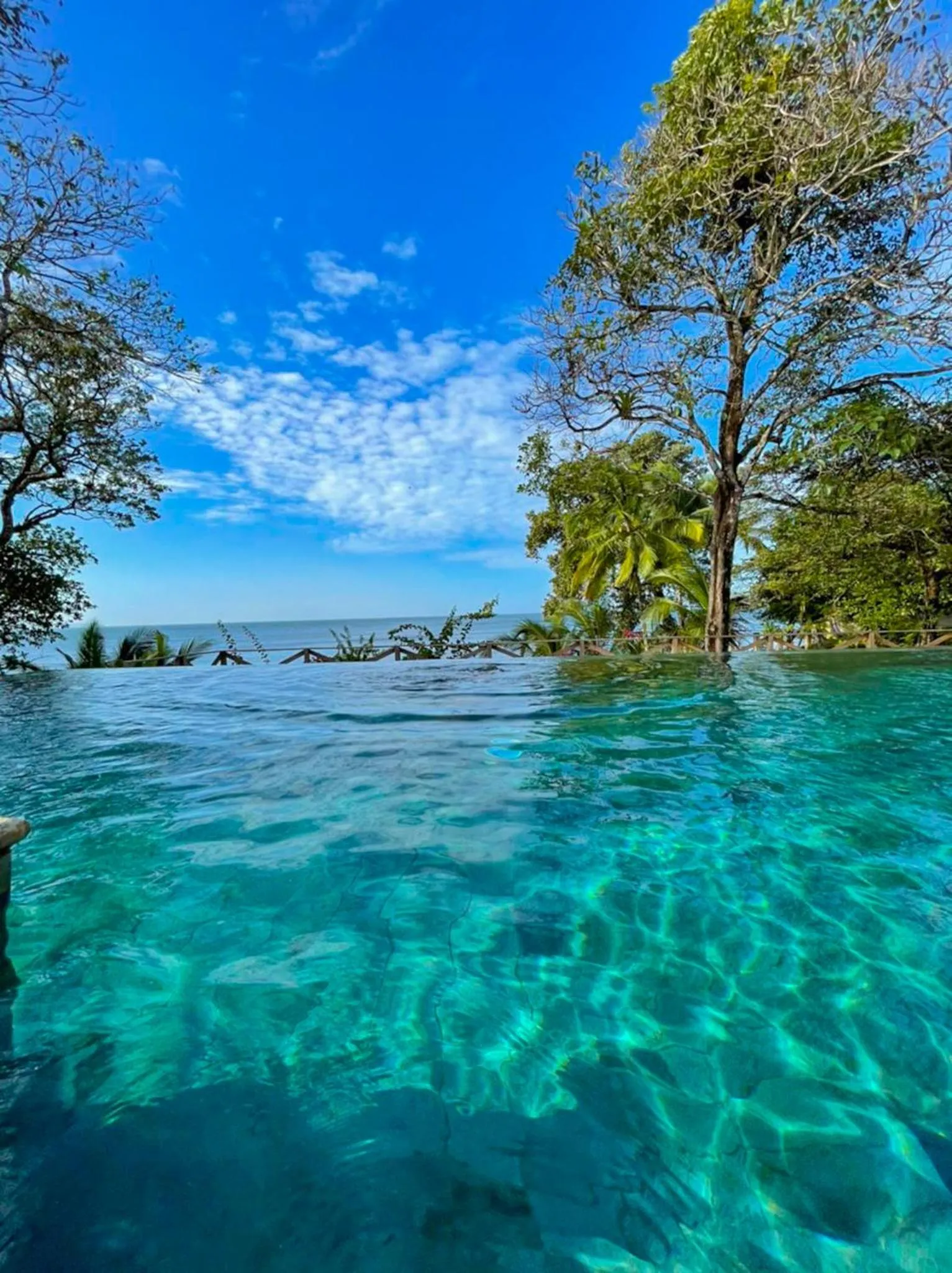 Natural landscape in Hotel Santa Catalina Panamá