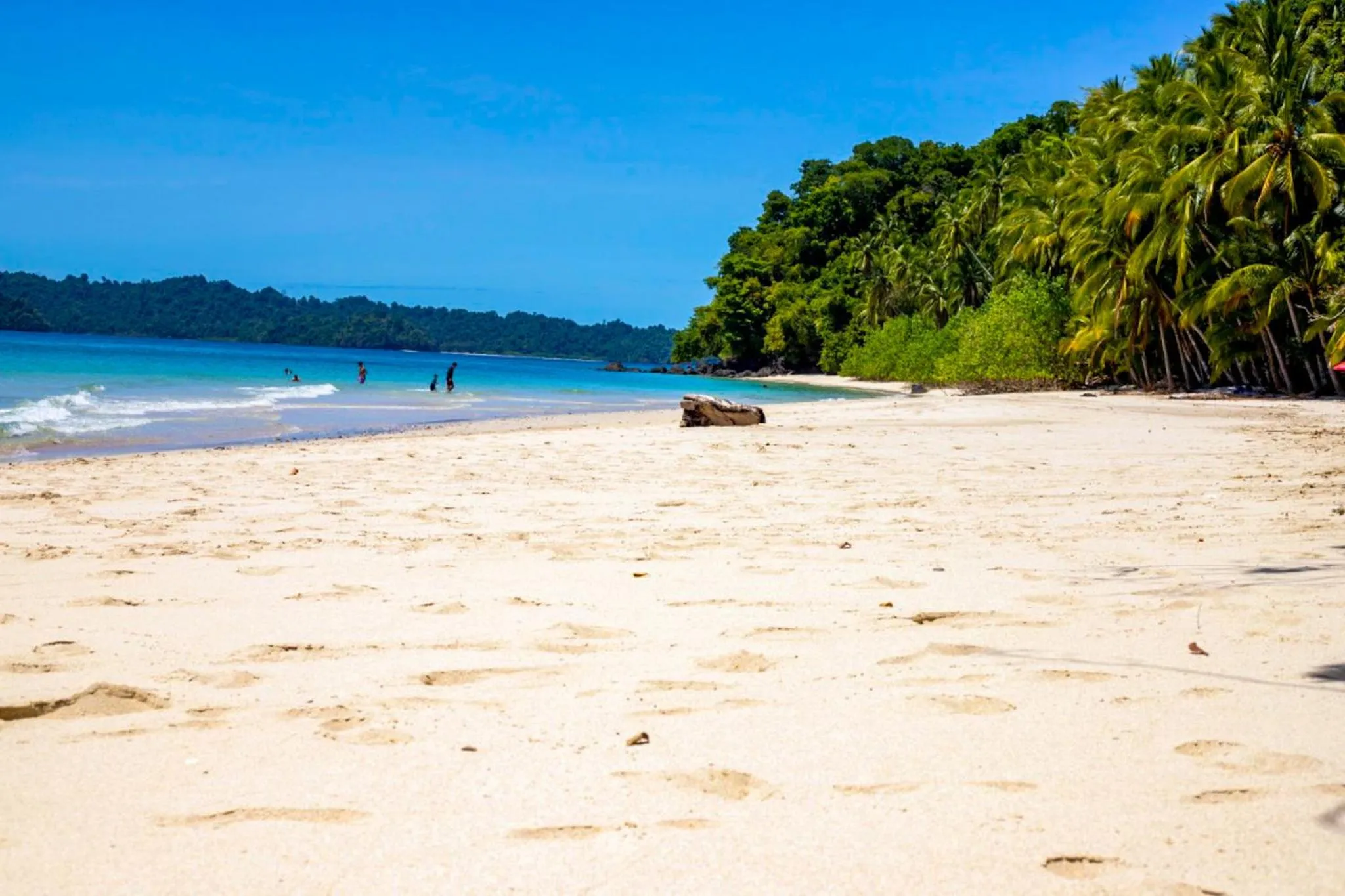 Natural landscape in Hotel Santa Catalina Panamá