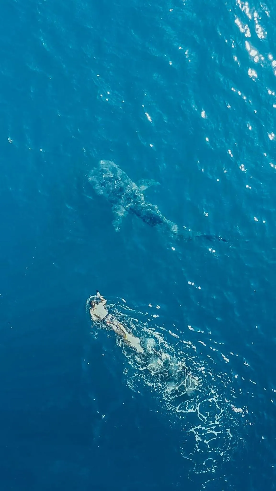 Bird's eye view in Hotel Santa Catalina Panamá