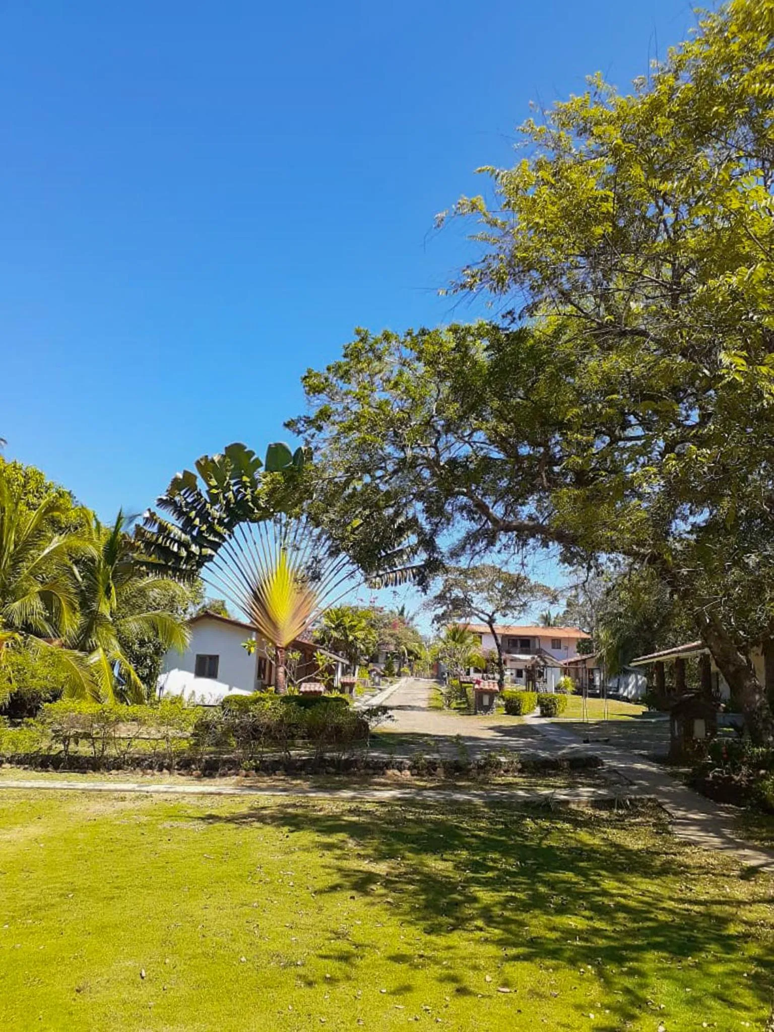 Garden in Hotel Santa Catalina Panamá
