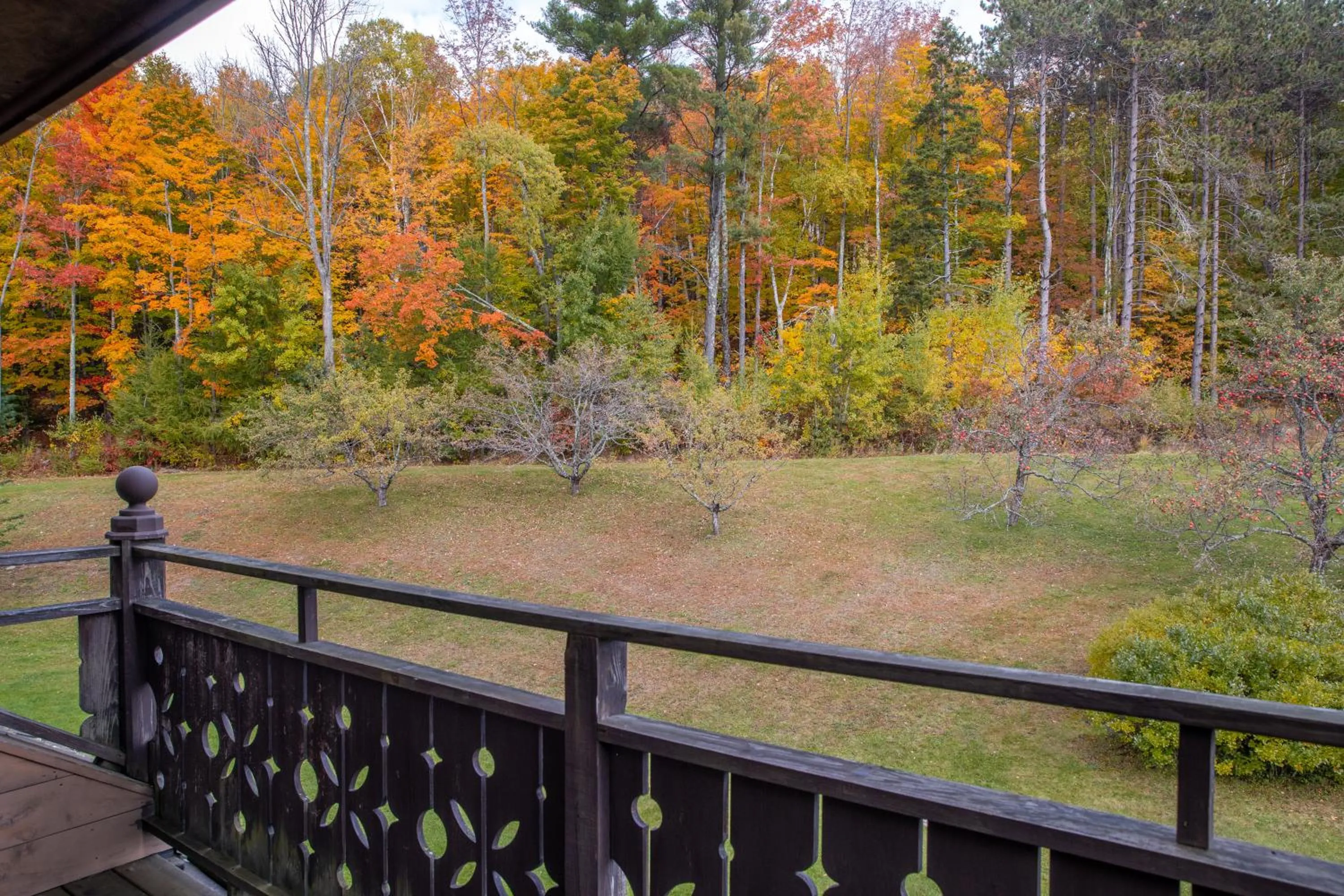 Balcony/Terrace in von Trapp Family Lodge & Resort