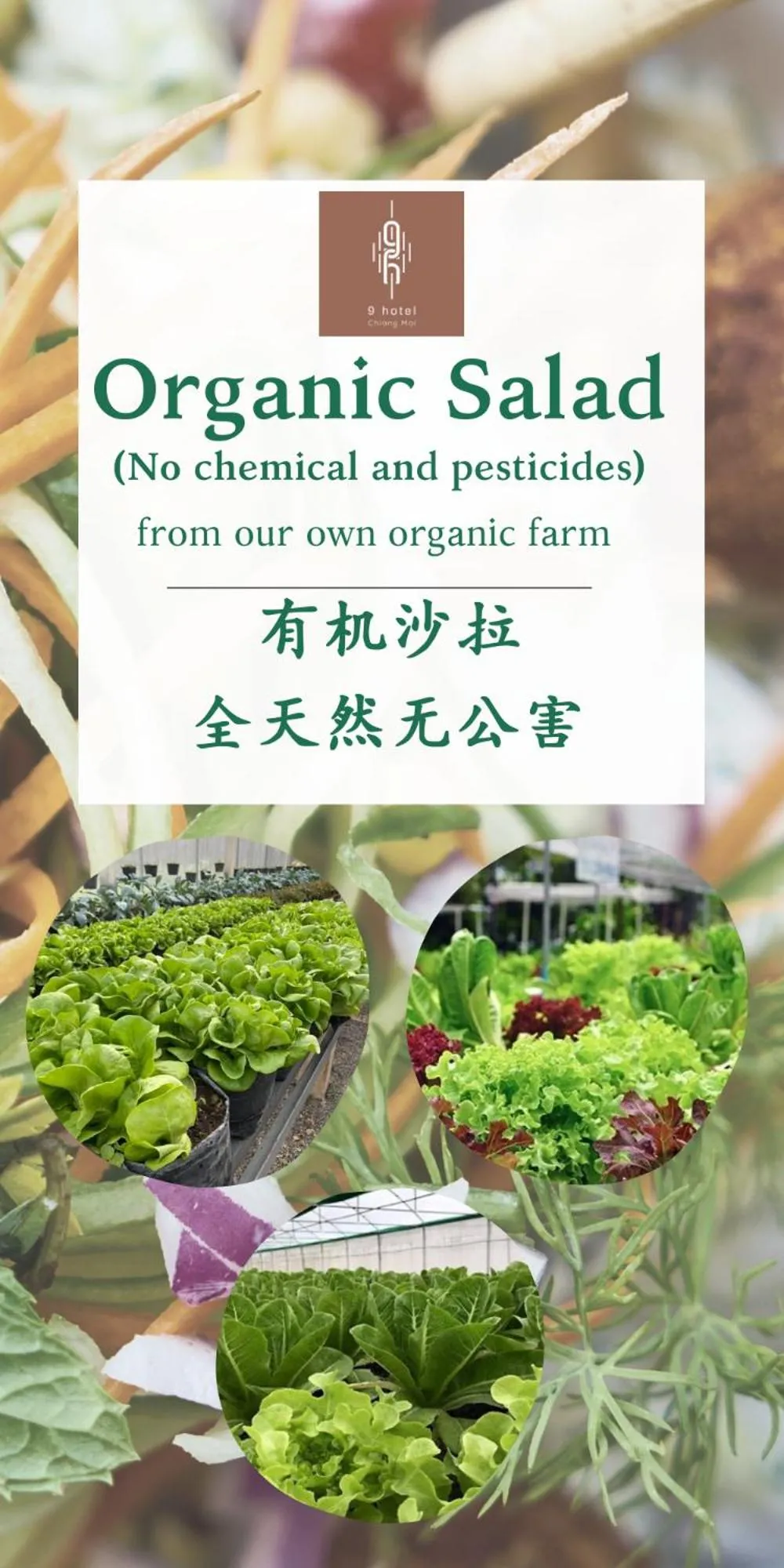 Food in Nine Hotel Chiangmai