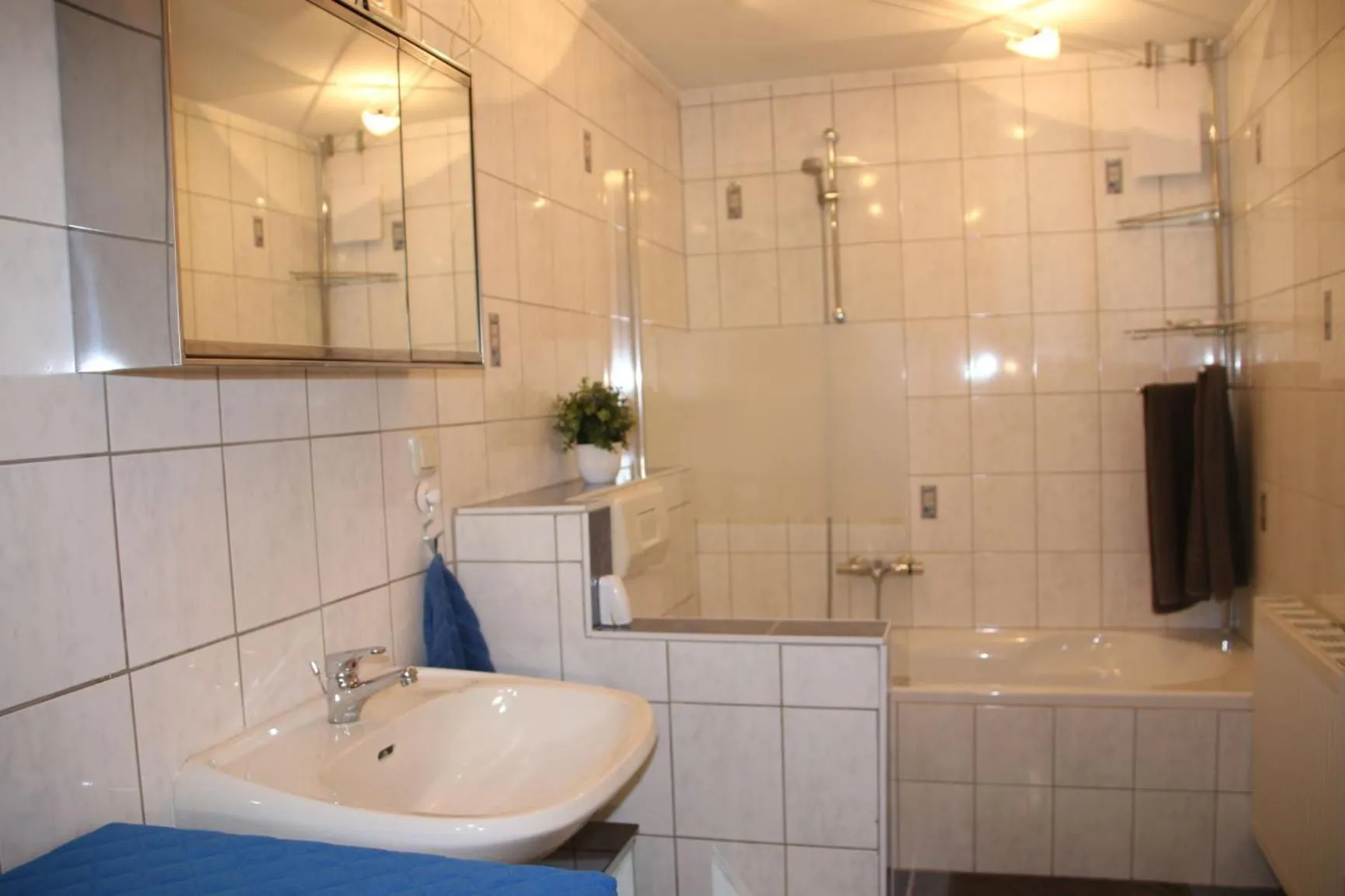 Toilet in Ferienwohnung Schaub