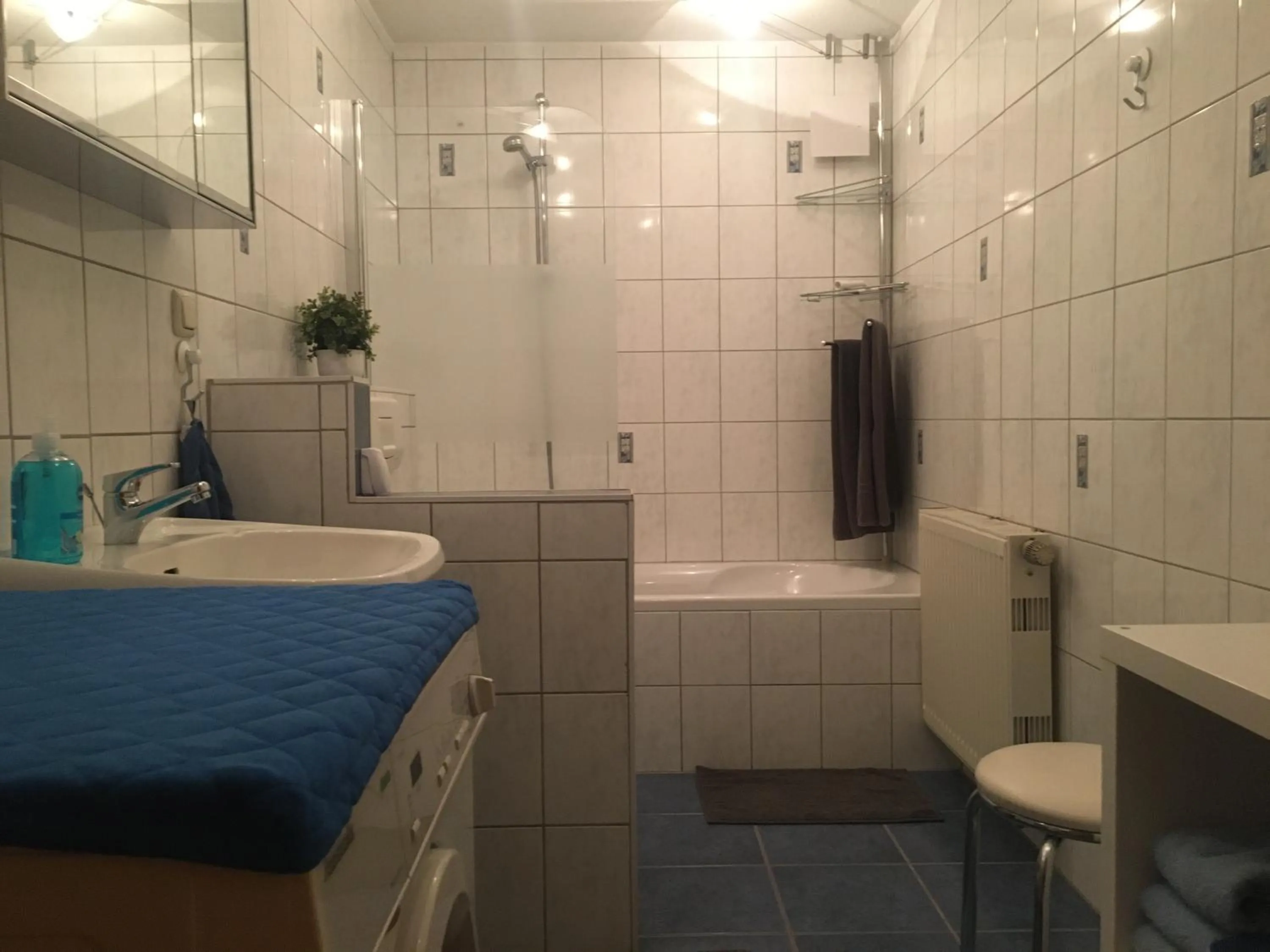 Toilet in Ferienwohnung Schaub