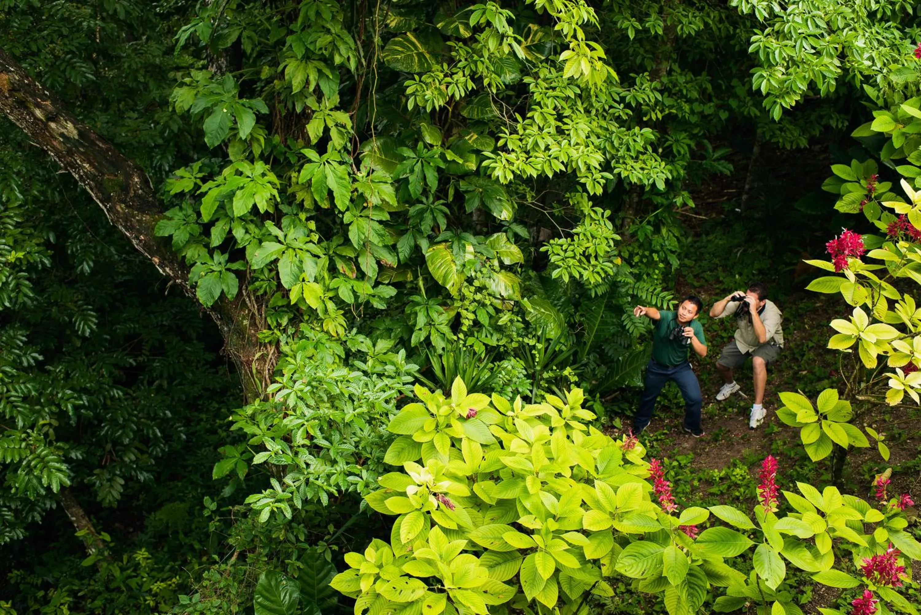 Activities in San Ignacio Resort Hotel