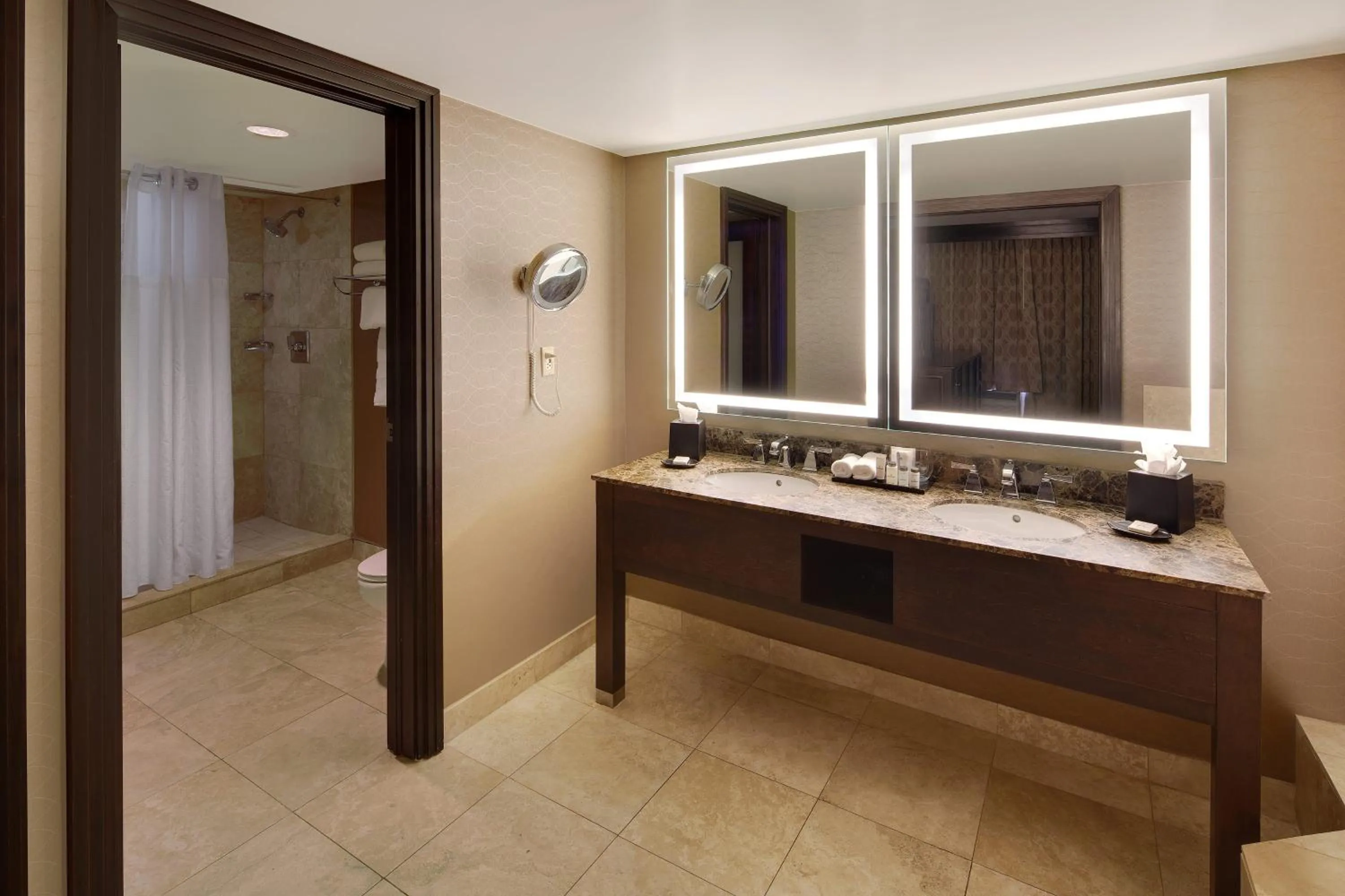 Bathroom in Sheraton Orlando North