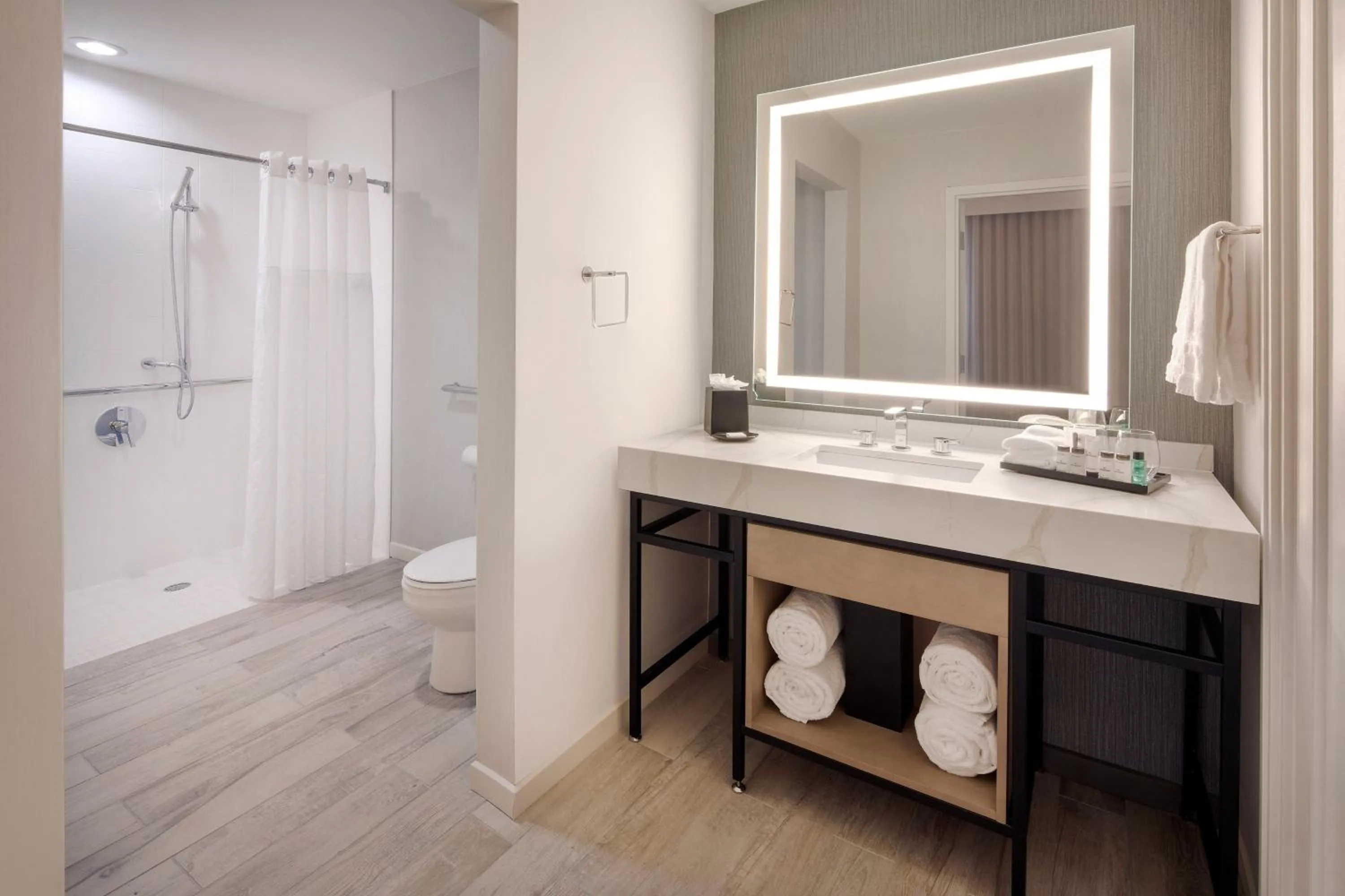 Bathroom in Sheraton Orlando North