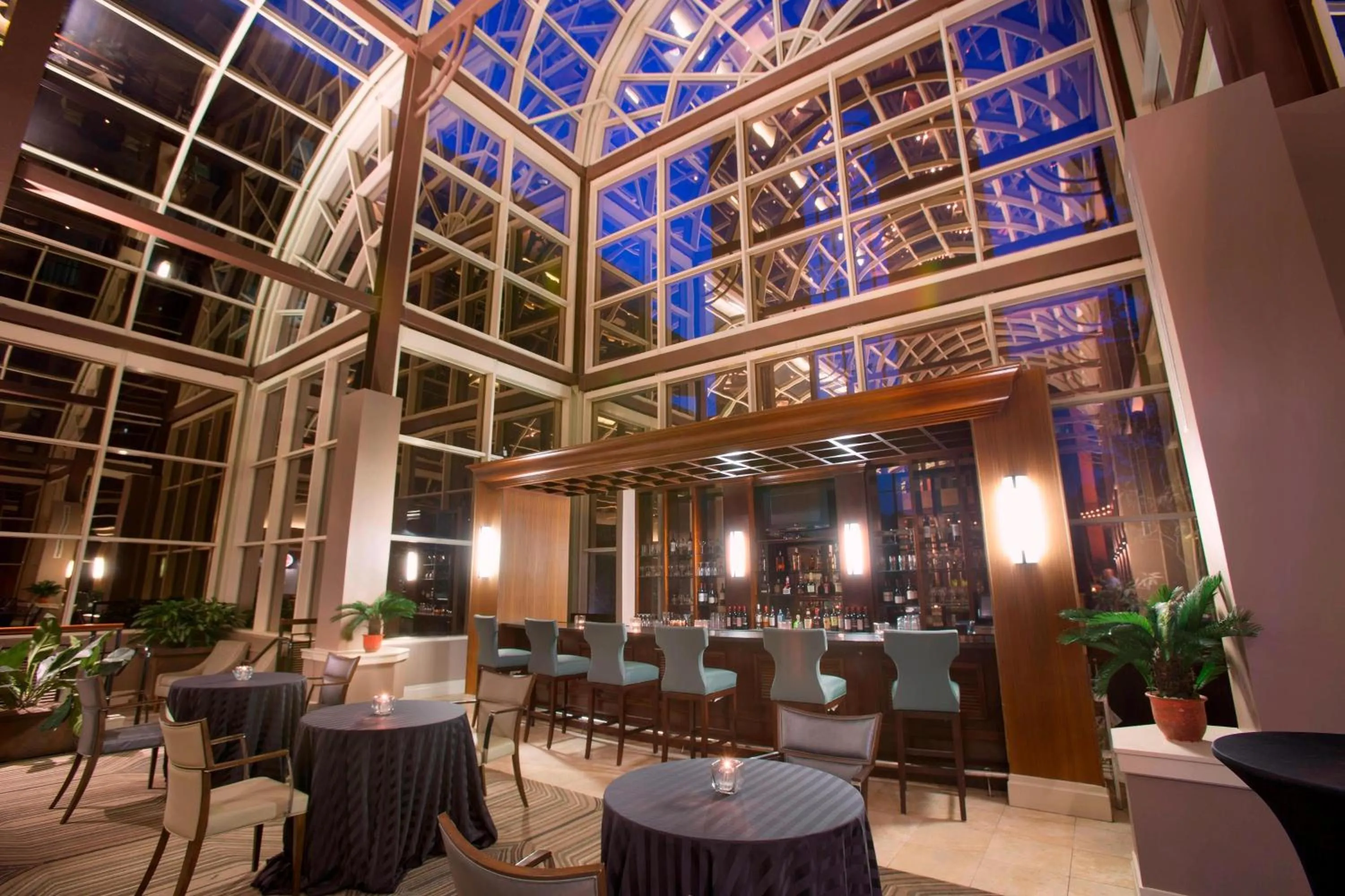 Restaurant/places to eat in Sheraton Orlando North