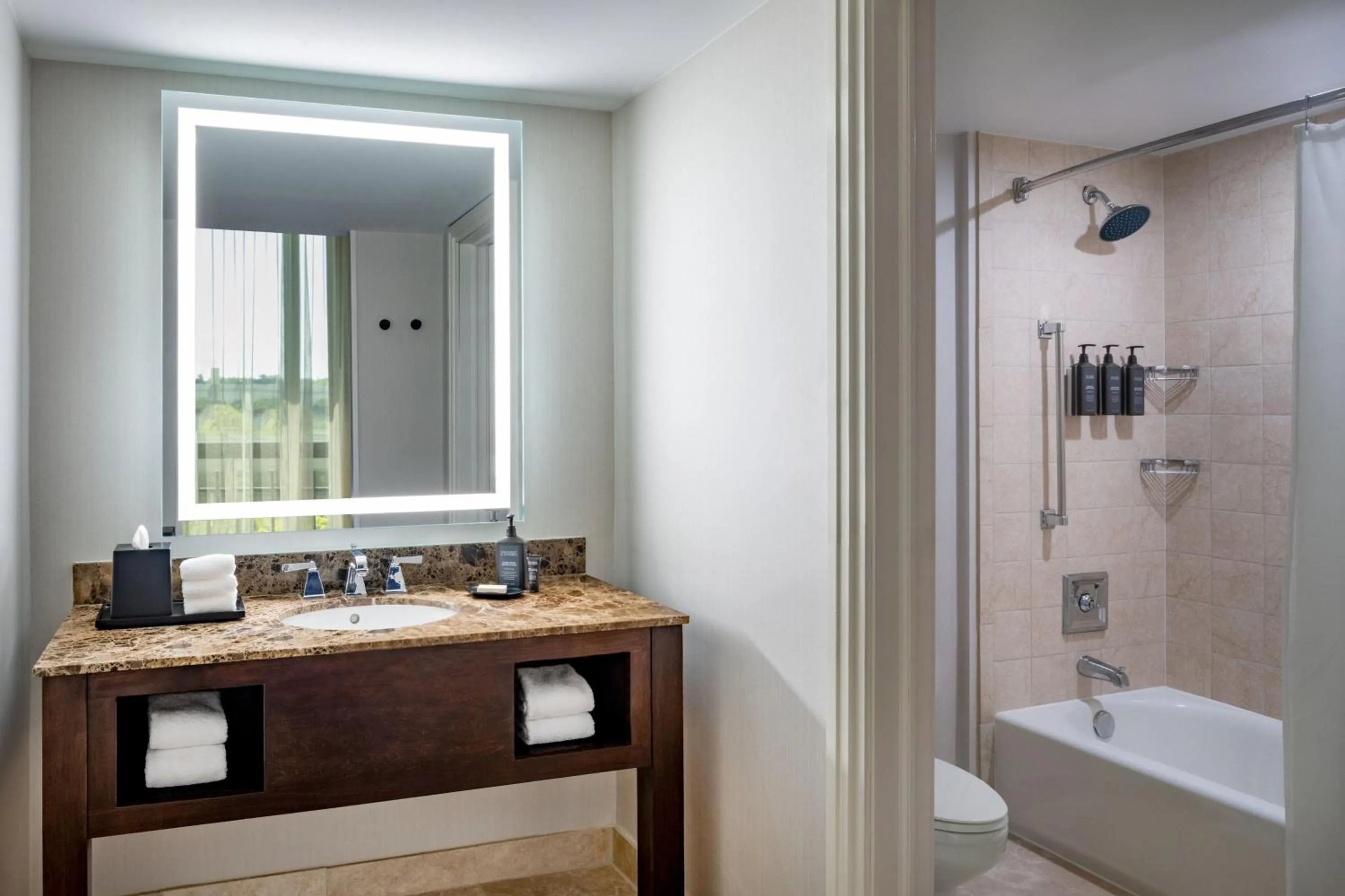 Bathroom in Sheraton Orlando North