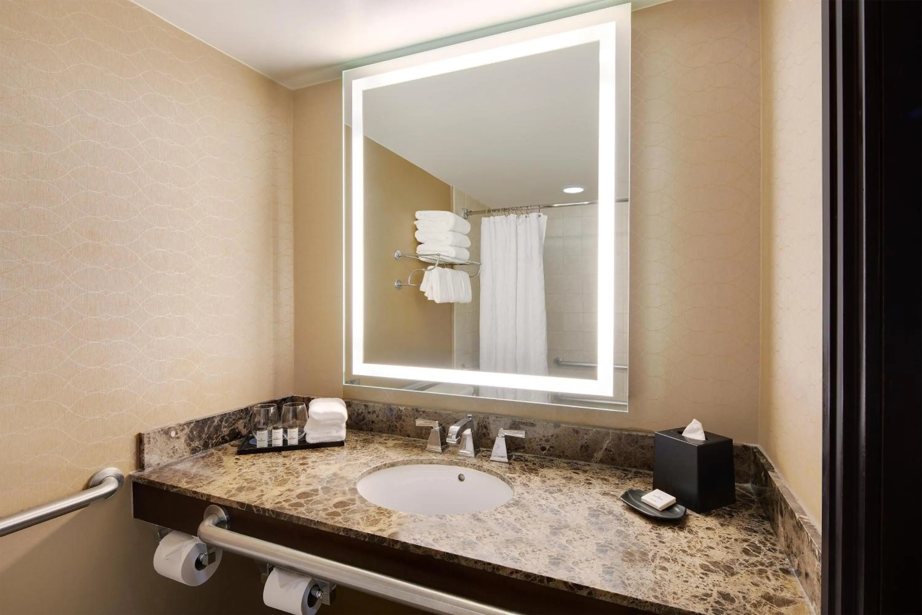 Bathroom in Sheraton Orlando North