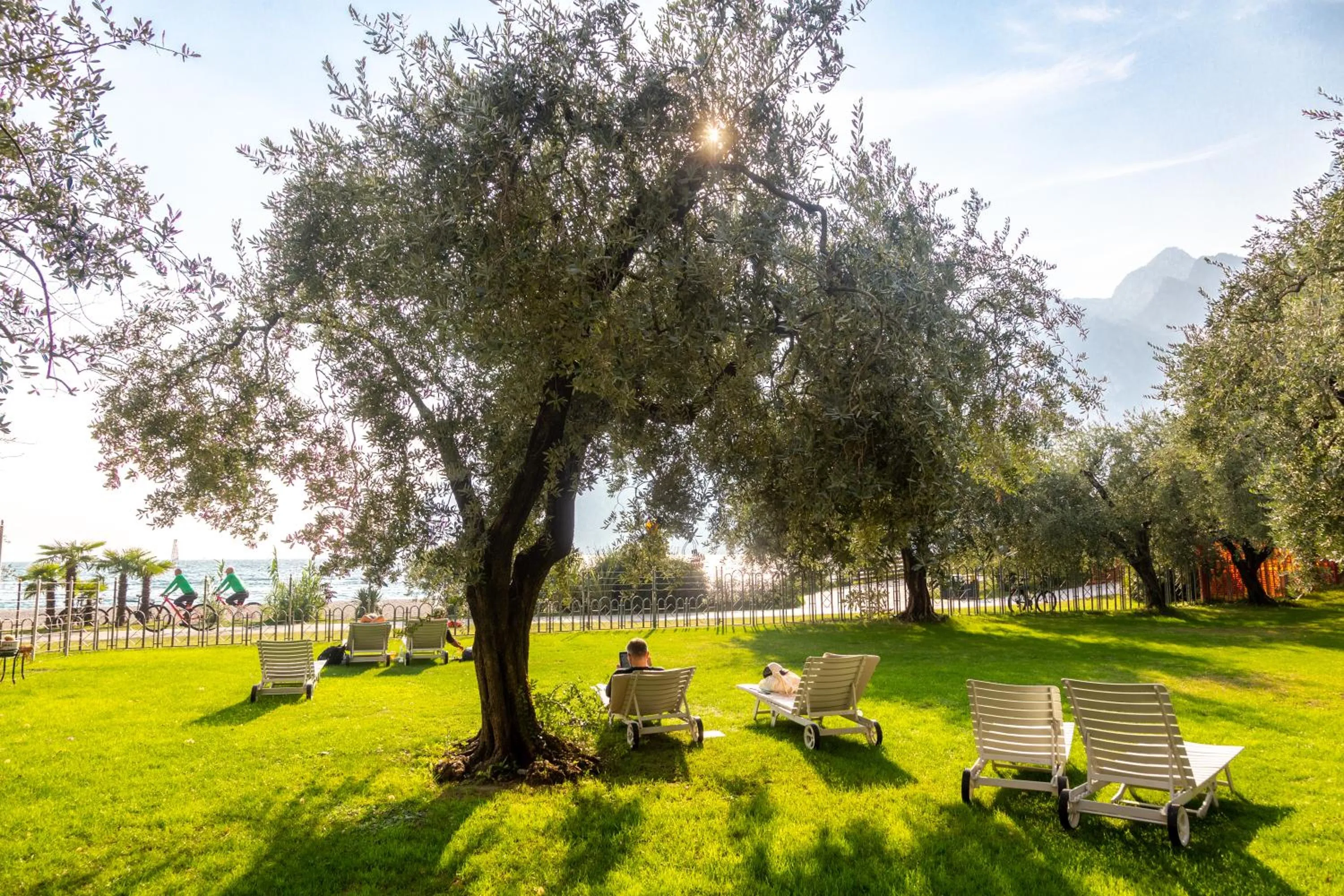Garden in Hotel Baia Azzurra - Lake Front