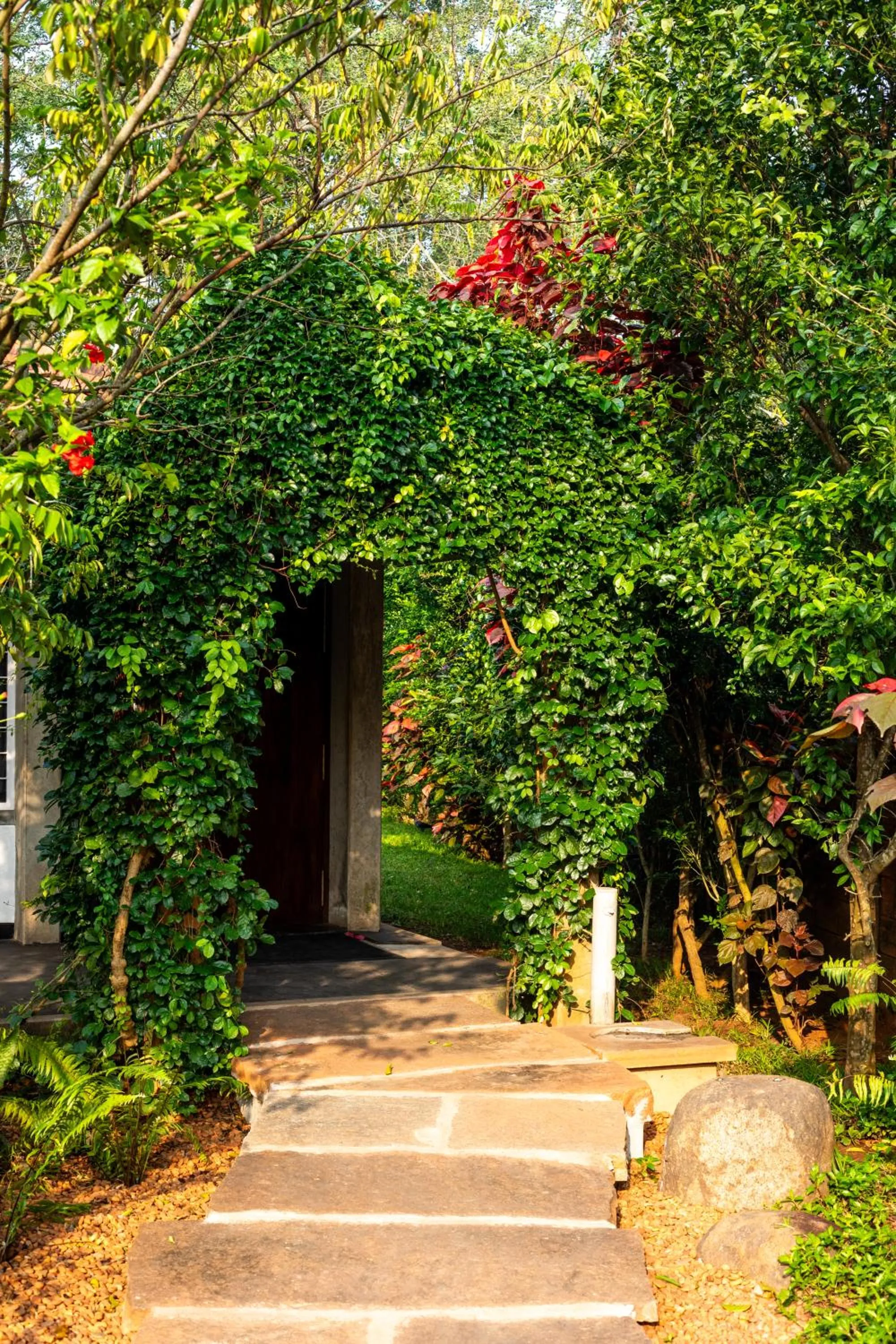 Spring in Sanctuary Amaidiyana - A CGH Earth Experience