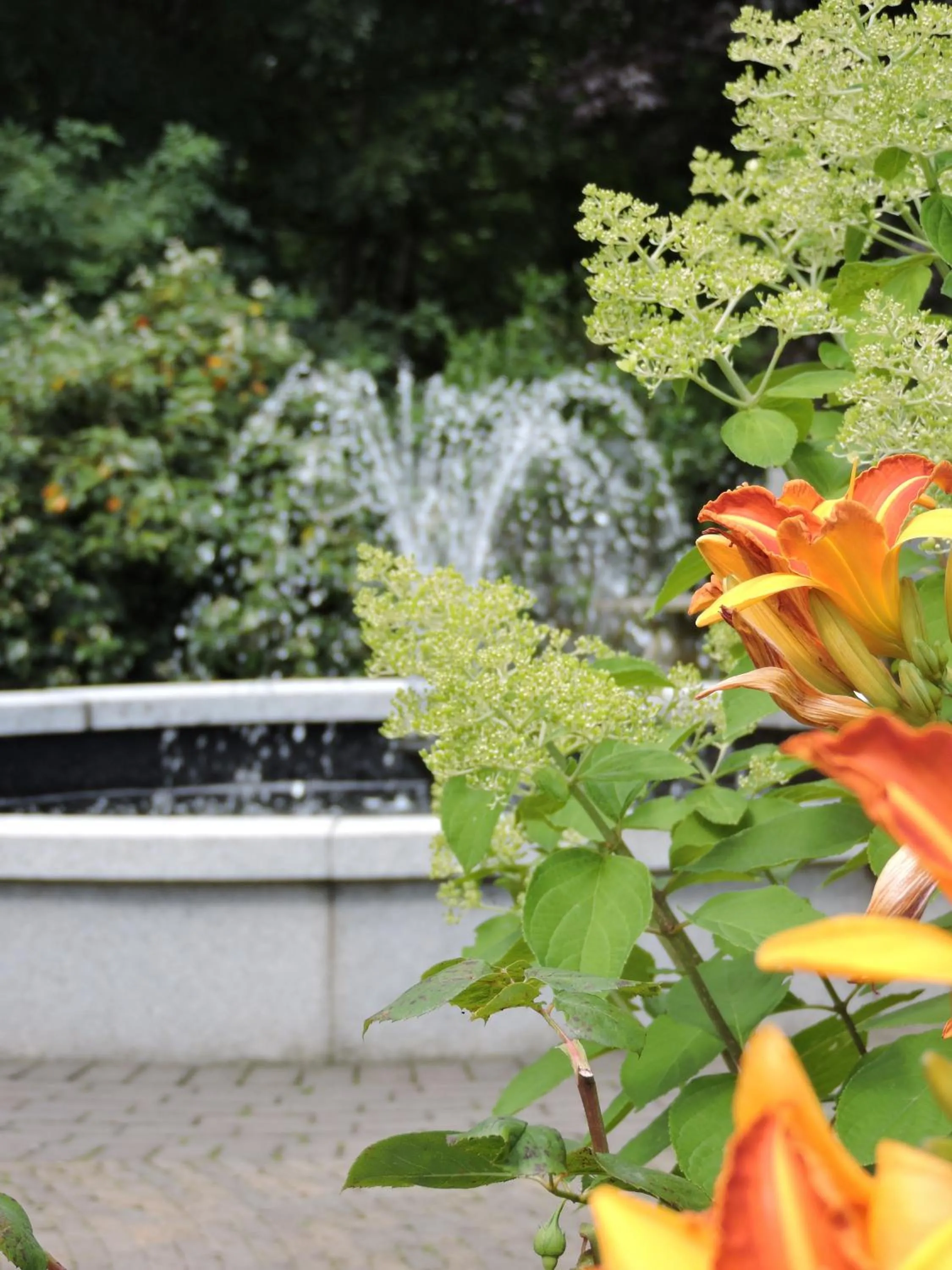 Garden in Conyngham Arms Hotel
