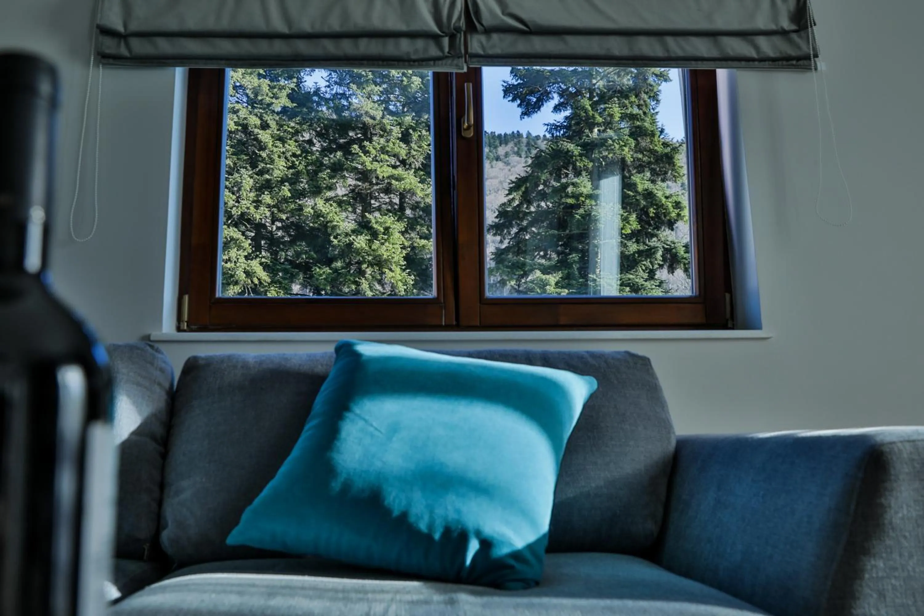 Living room in Expecto Apartments