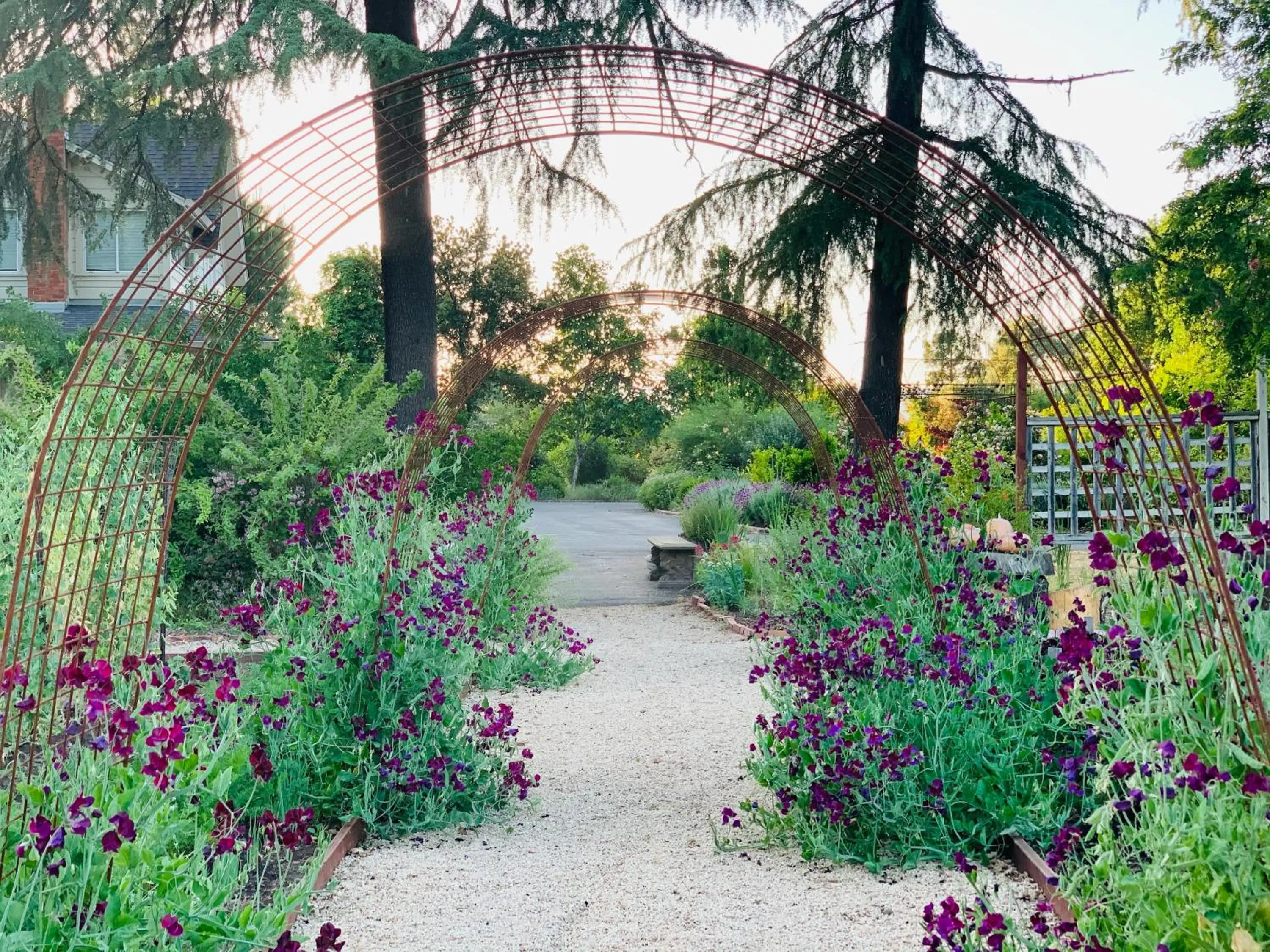 Napa Farmhouse Inn