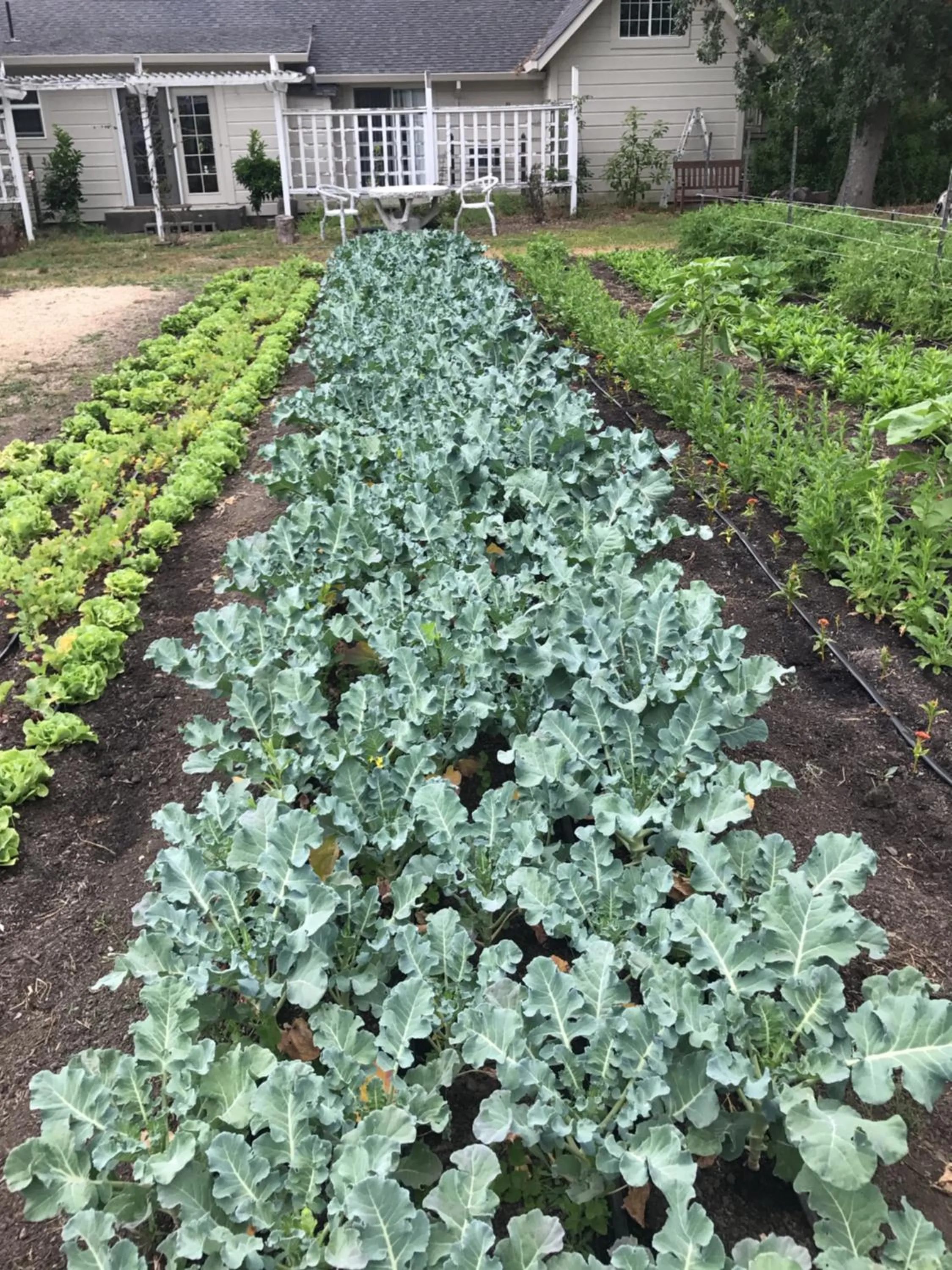 Napa Farmhouse Inn