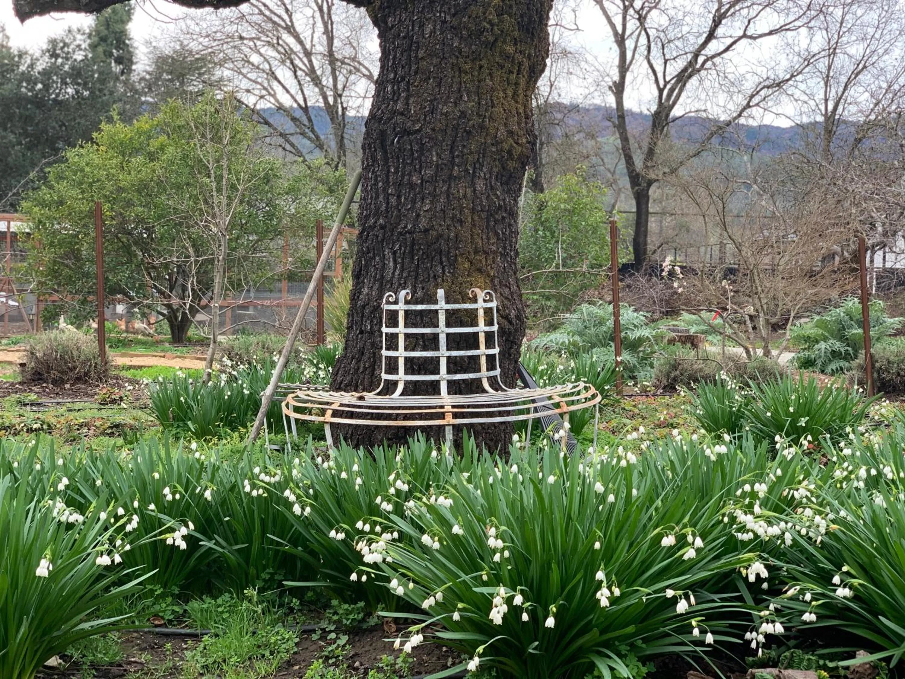 Napa Farmhouse Inn