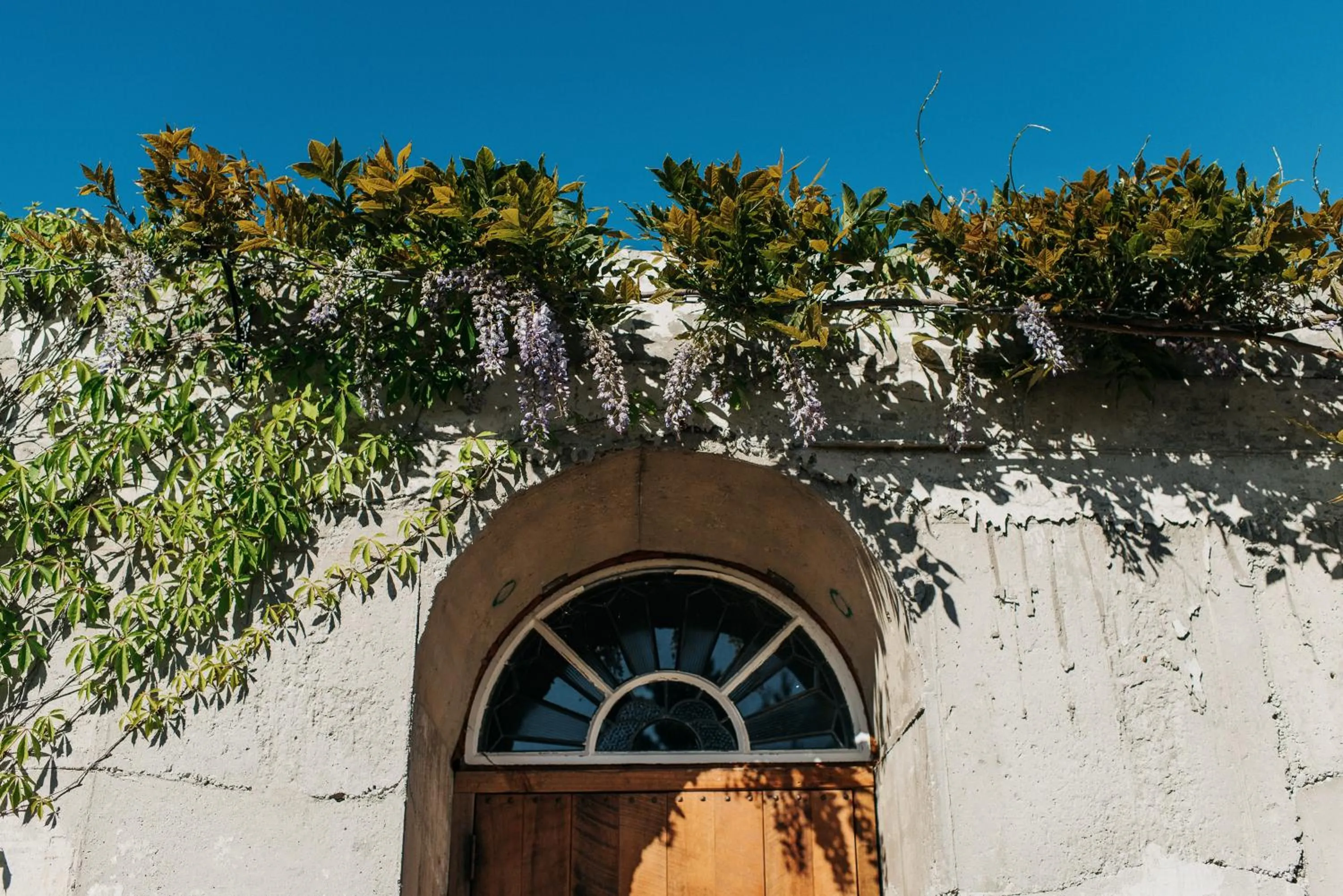 Facade/entrance in Mt Cook Lakeside Retreat