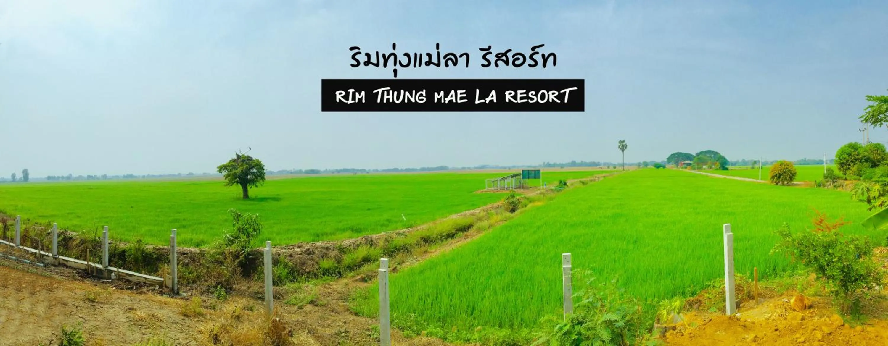 ริมทุ่งแม่ลา รีสอร์ท Rim-Thung-Mae-La-Resort