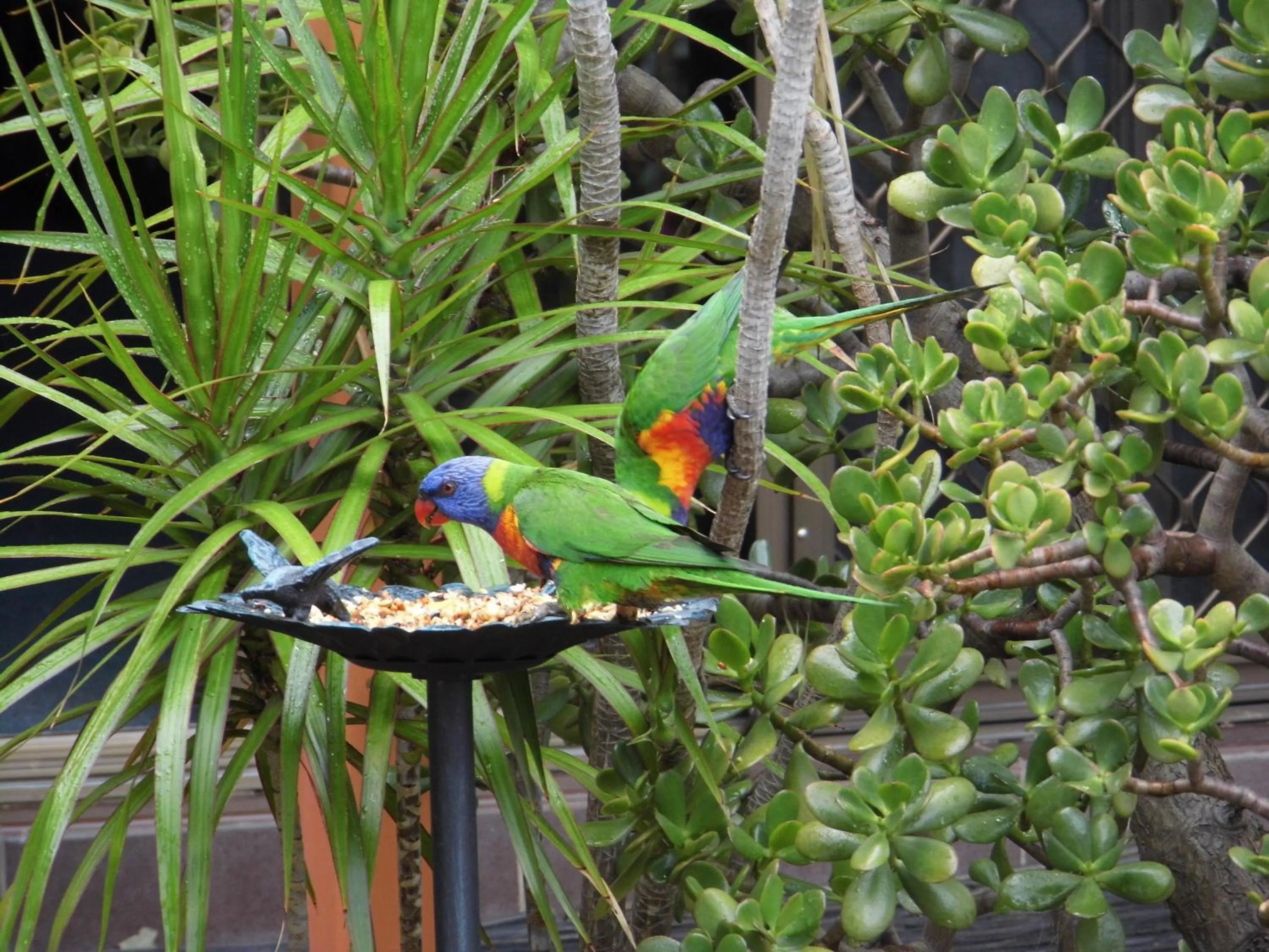 Property building in Nanango Fitzroy Motel
