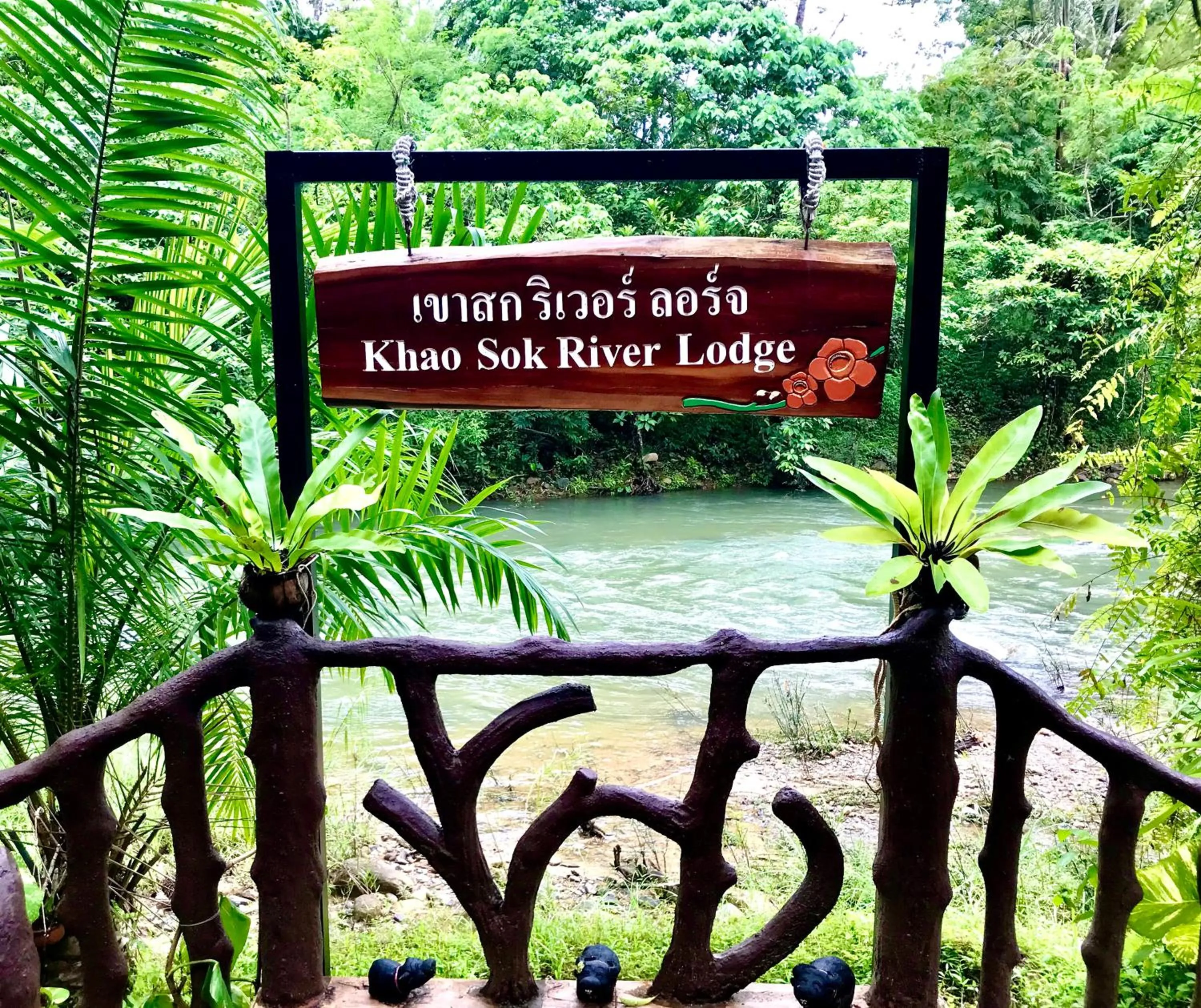 Property building in Khao Sok River Lodge Hotel