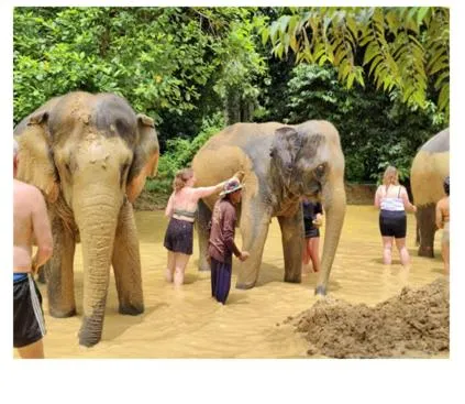 Khao Sok River Lodge Hotel