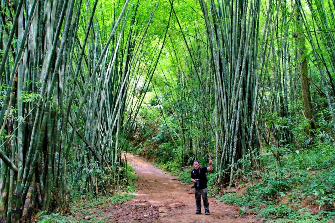 Hiking in Khao Sok River Lodge Hotel