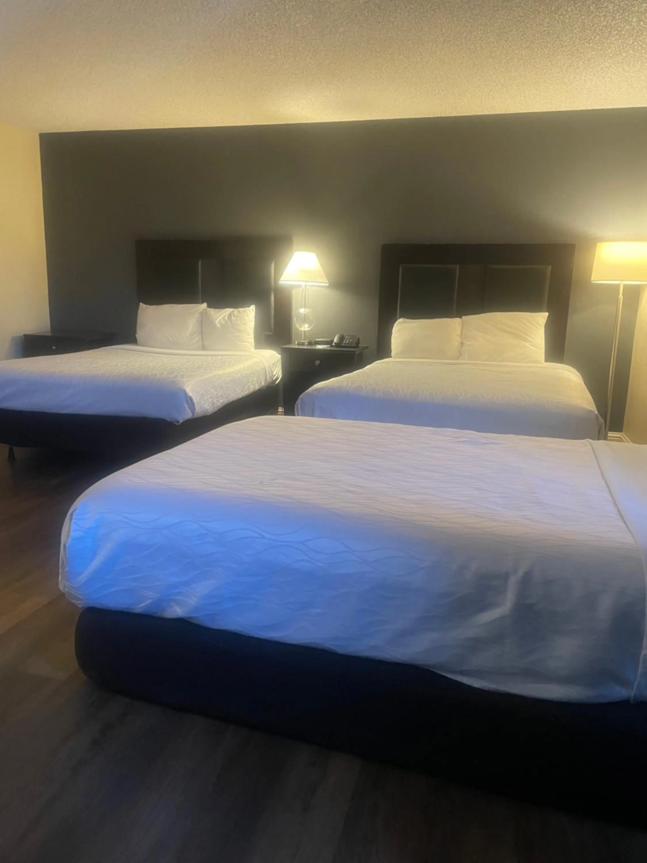 Bedroom, Bed in Sutter Inn