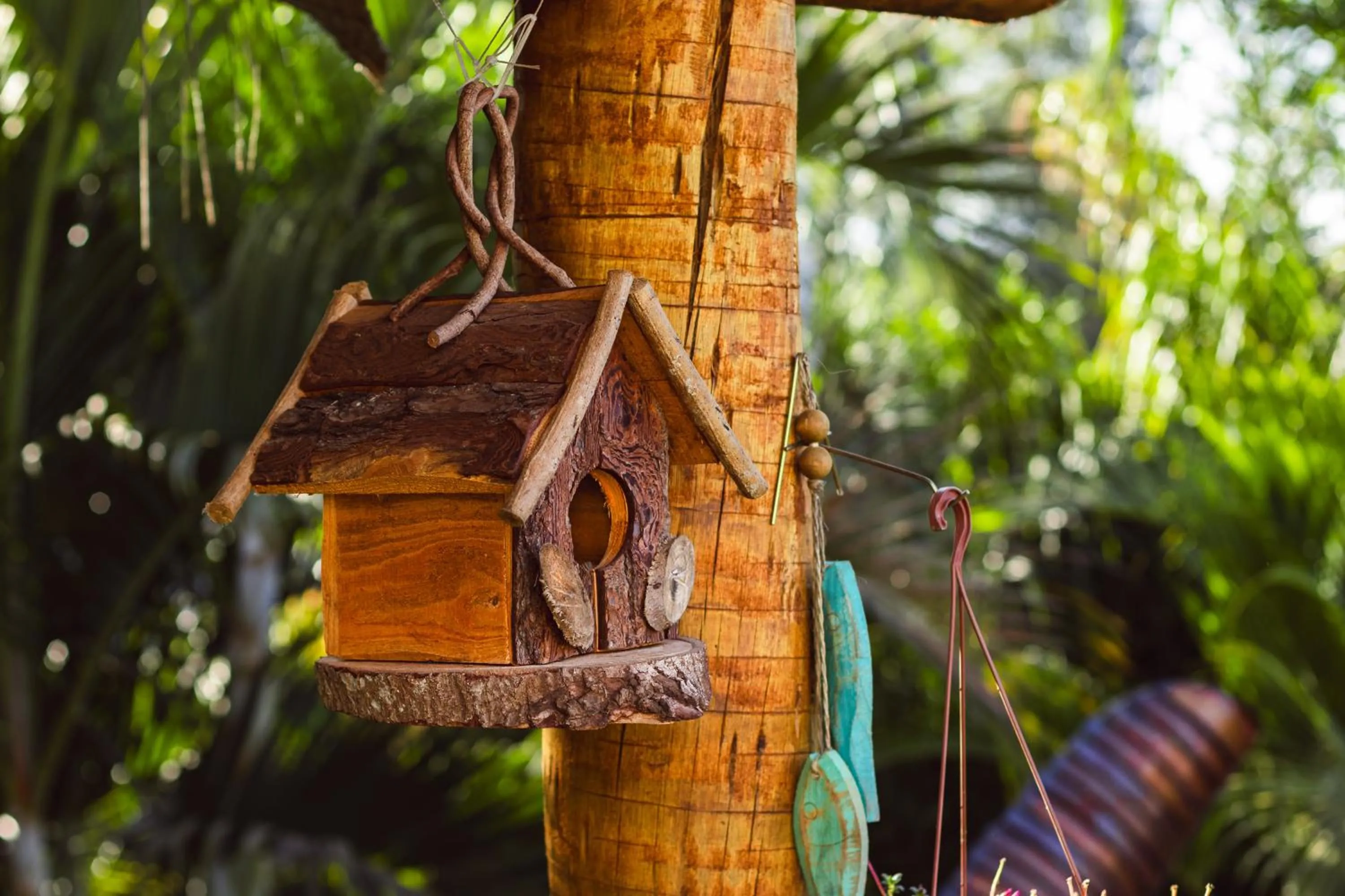 Garden in Pousada Viver Capitólio