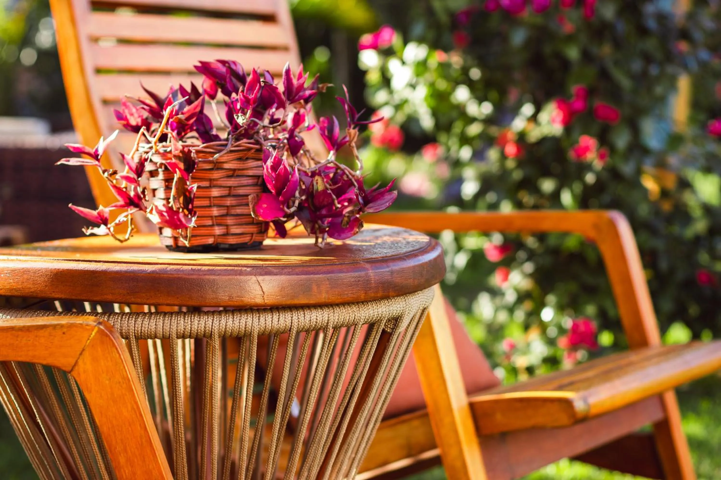 Garden in Pousada Viver Capitólio