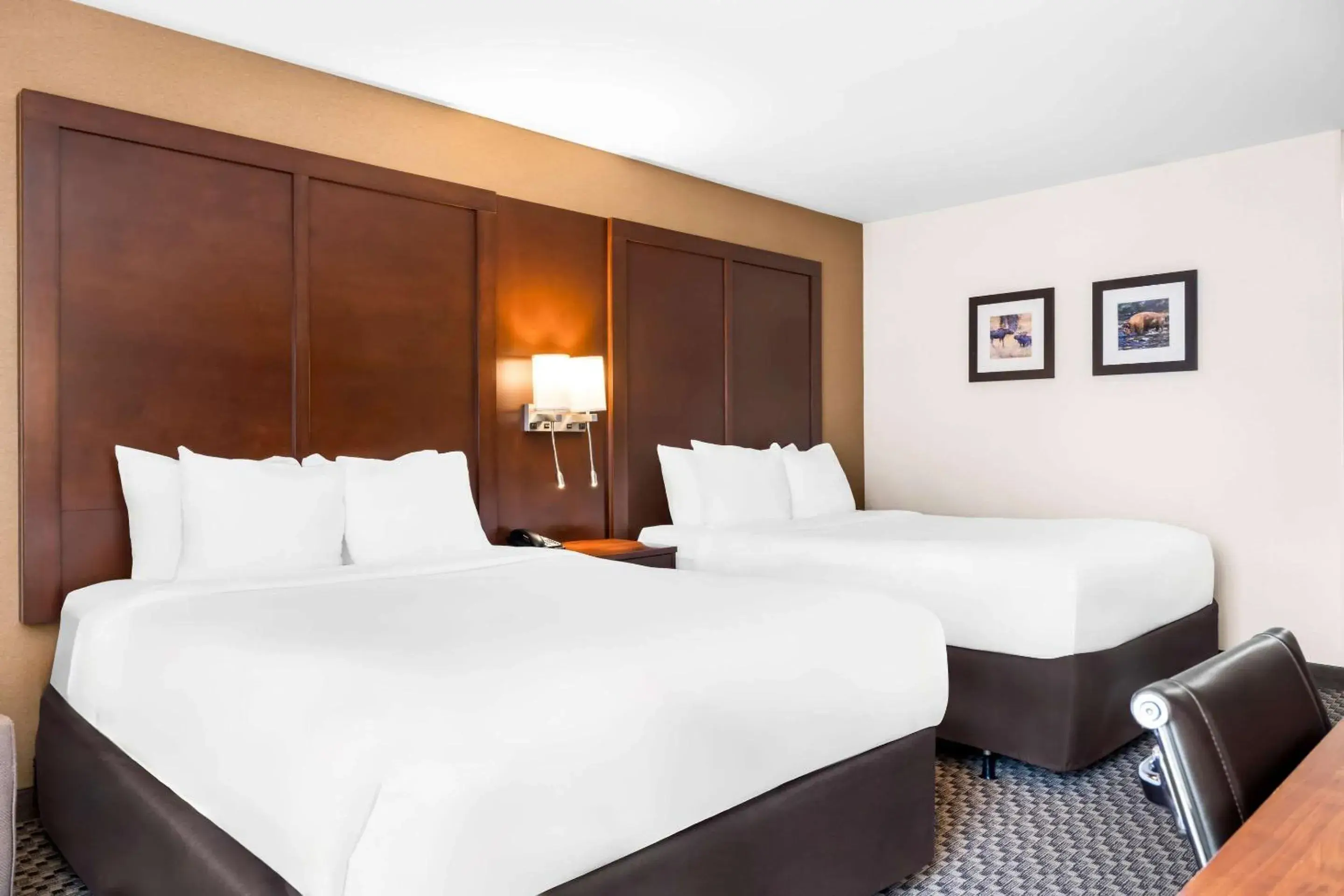 Queen Room with Two Queen Beds - Non-Smoking in Comfort Inn at Buffalo Bill Village Resort Queen Room with Two Queen Beds - Non-Smoking in Comfort Inn at Buffalo Bill Village Resort