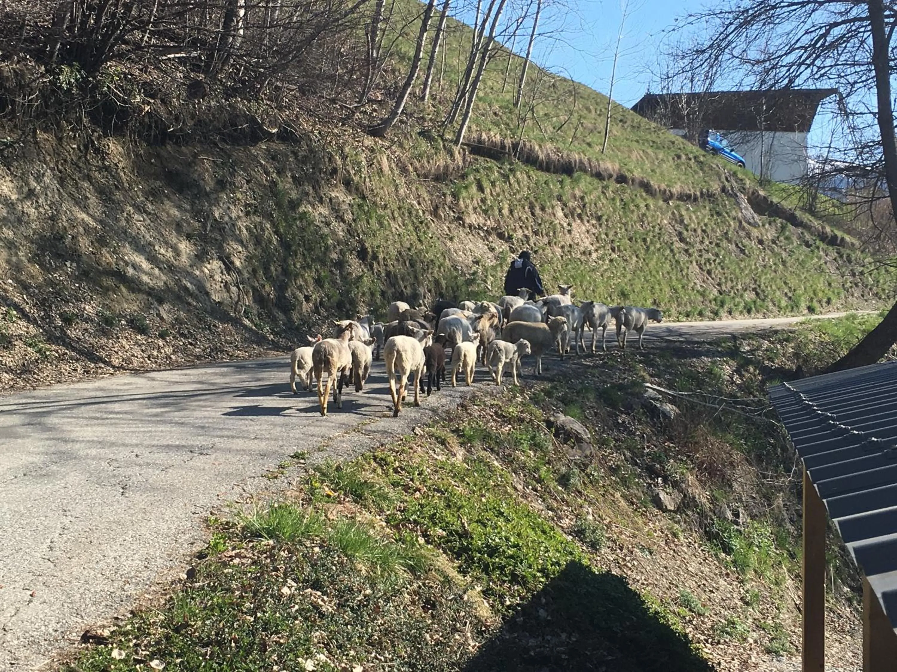 Natural landscape in Montagn'Arcs