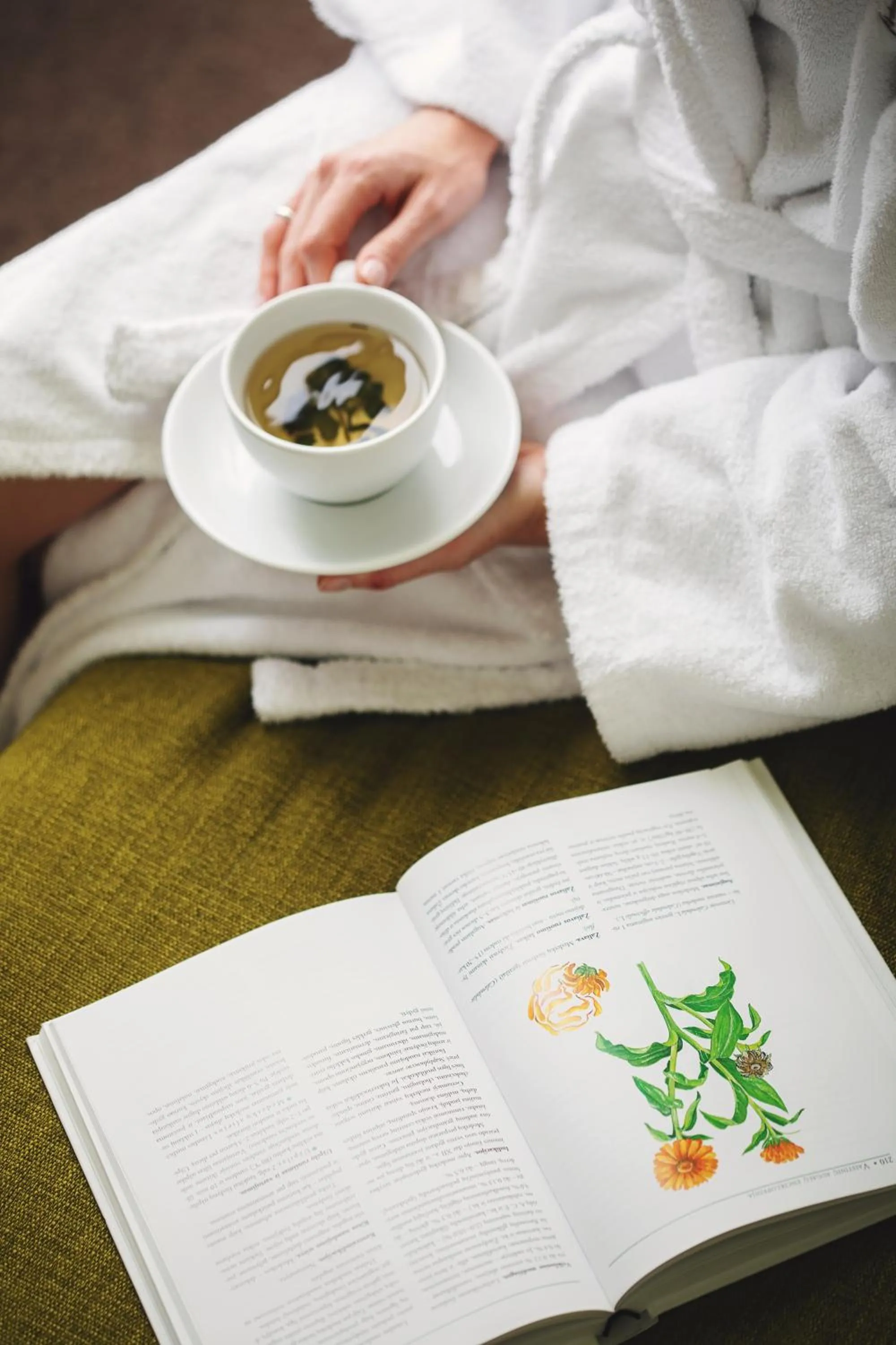 Garden in Goda Hotel & Spa